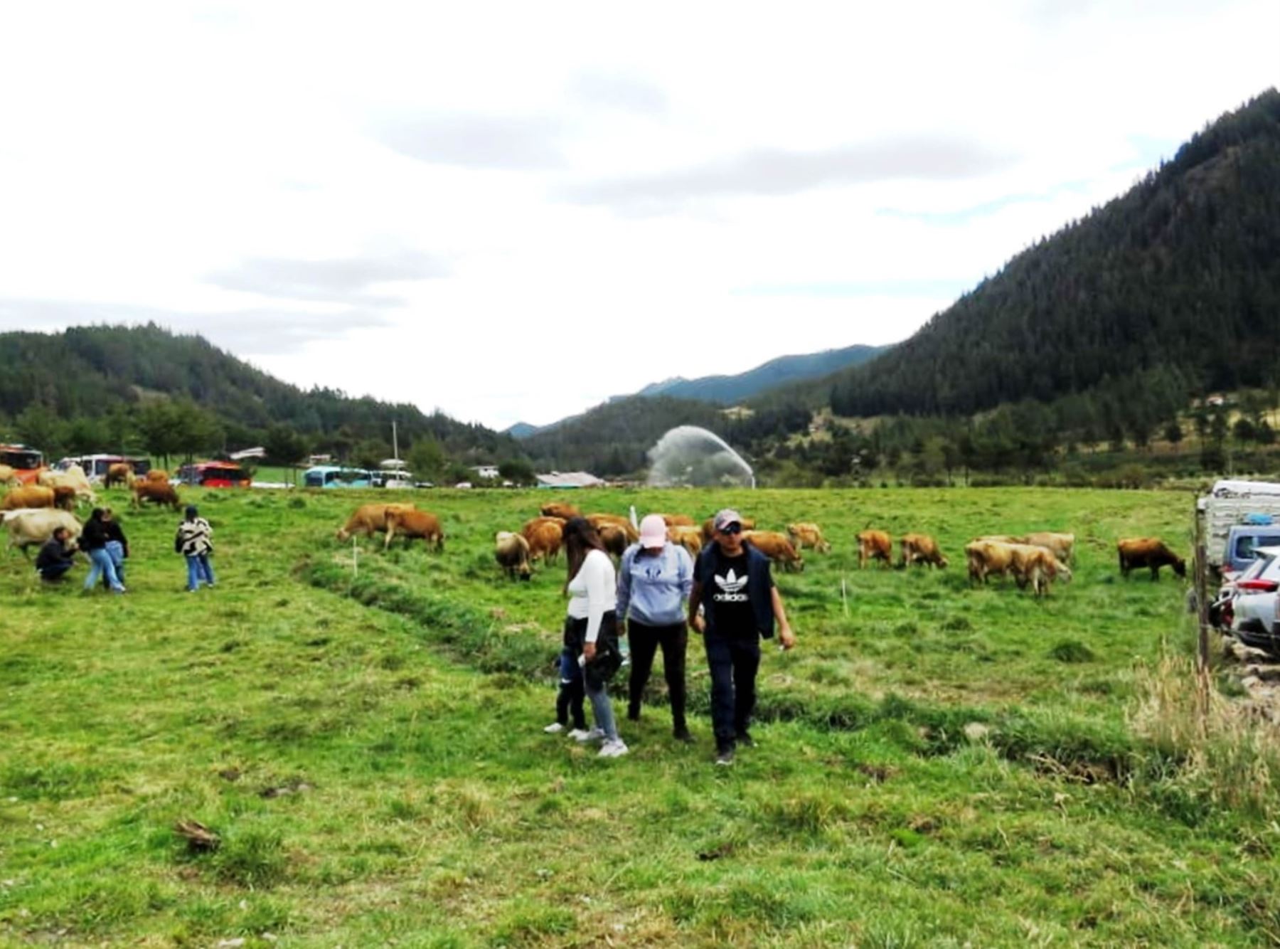 La granja Porcón es uno de los destinos más visitados por los turistas que arriban a Cajamarca, como quedó demostrado en el reciente feriado largo por Fiestas Patrias. Foto: ANDINA/difusión.