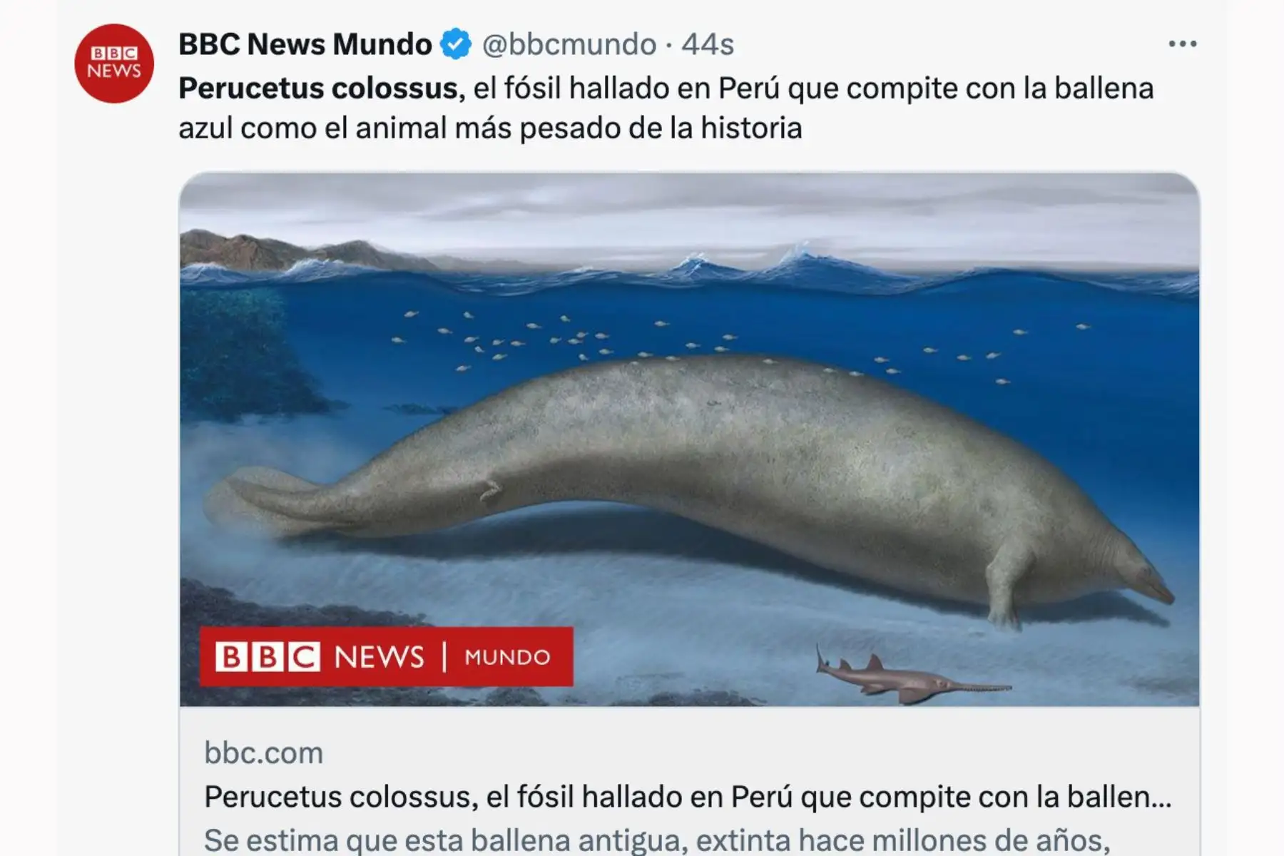 BBC News. El anuncio del descubrimiento en Perú del "Perucetus colossus", el fósil de animal más pesado de la historia de la Tierra, generó diversas reacciones en los principales medios de comunicación del mundo.