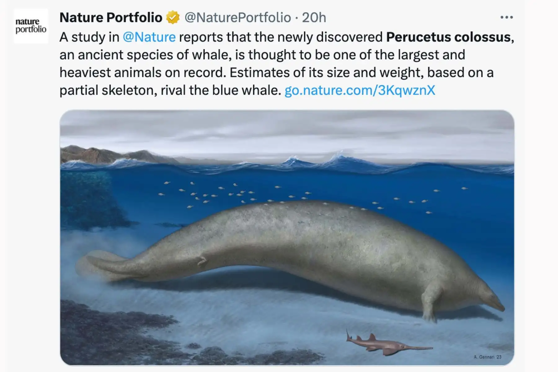 Nature Portfolio. El anuncio del descubrimiento en Perú del "Perucetus colossus", el fósil de animal más pesado de la historia de la Tierra, generó diversas reacciones en los principales medios de comunicación del mundo.