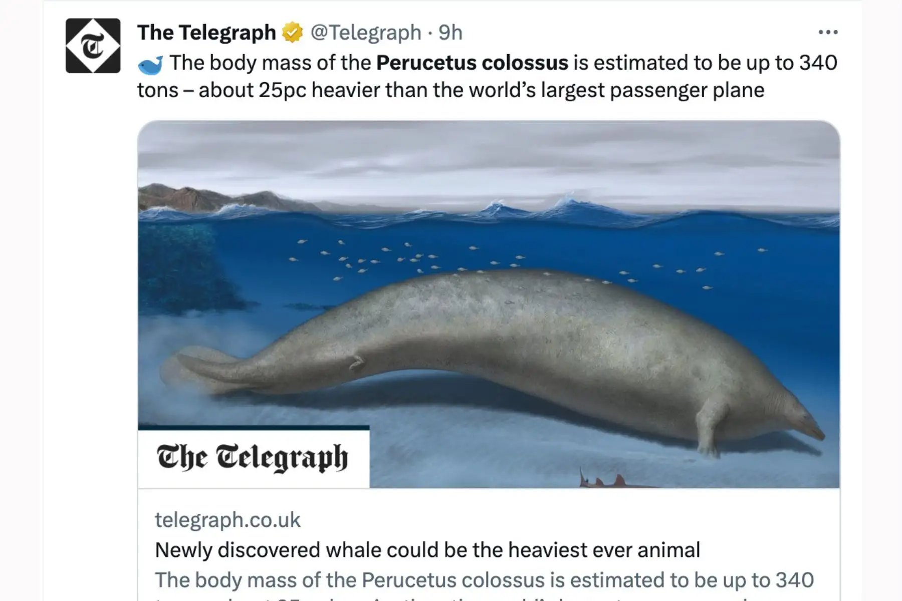 The Telegraph. El anuncio del descubrimiento en Perú del "Perucetus colossus", el fósil de animal más pesado de la historia de la Tierra, generó diversas reacciones en los principales medios de comunicación del mundo.