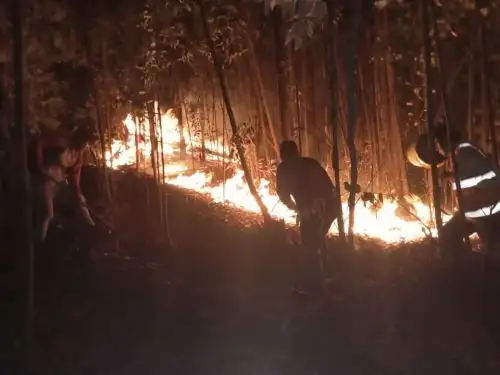 Estudio realizado por investigadores peruanos revela que uso de datos satelitales es eficaz para detectar incendios forestales. ANDINA/Difusión