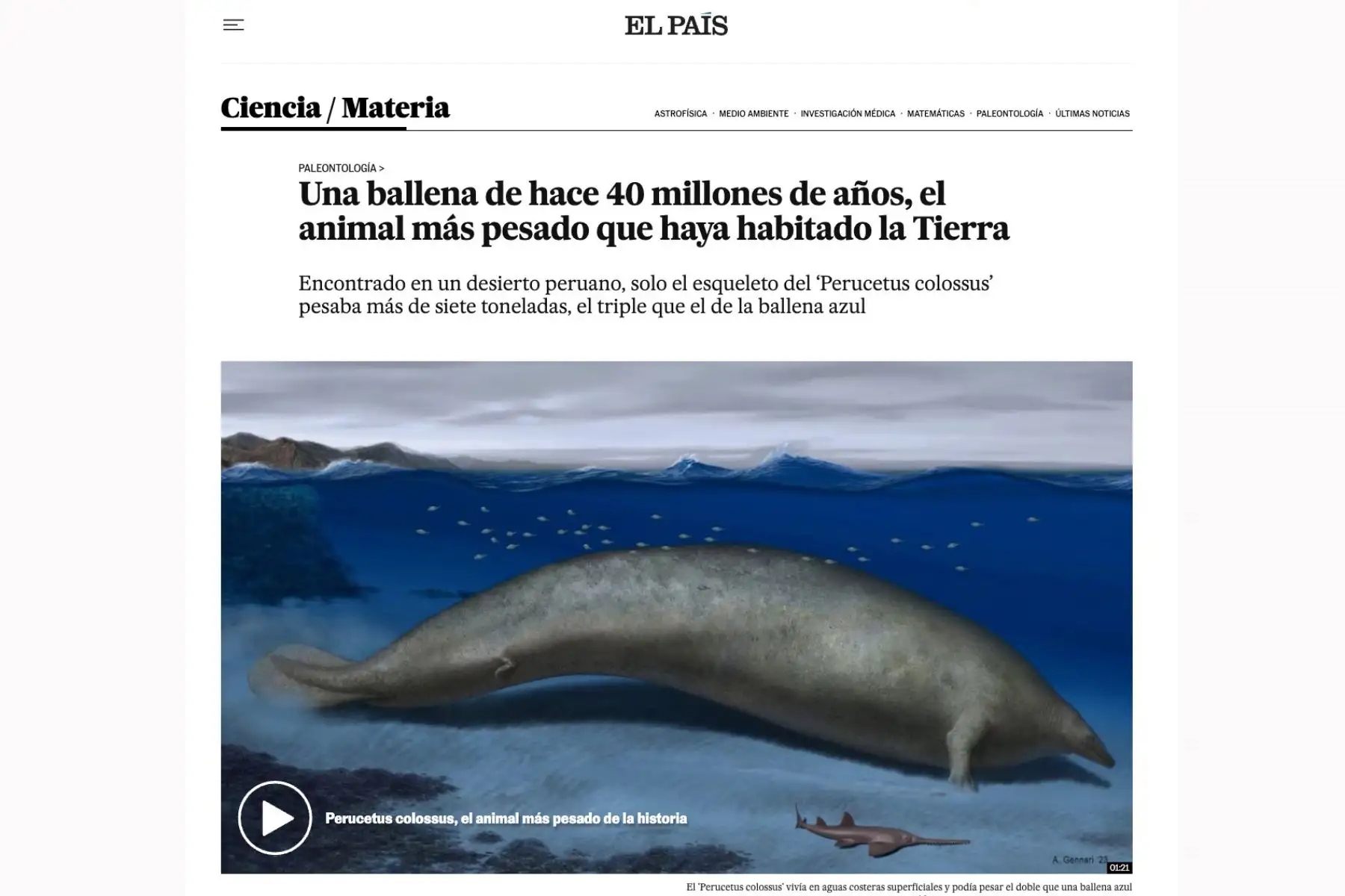 El País de España. El anuncio del descubrimiento en Perú del "Perucetus colossus", el fósil de animal más pesado de la historia de la Tierra, generó diversas reacciones en los principales medios de comunicación del mundo.