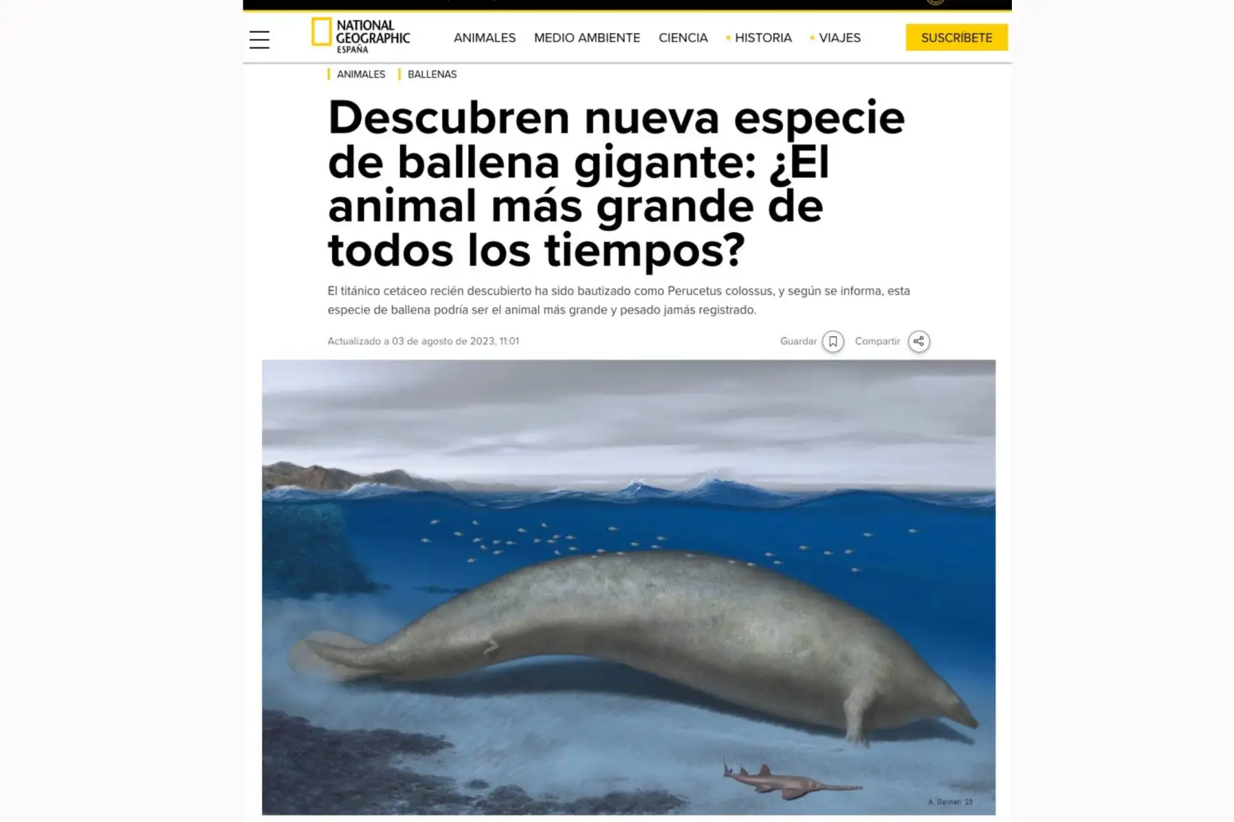 National Geographic. El anuncio del descubrimiento en Perú del "Perucetus colossus", el fósil de animal más pesado de la historia de la Tierra, generó diversas reacciones en los principales medios de comunicación del mundo.