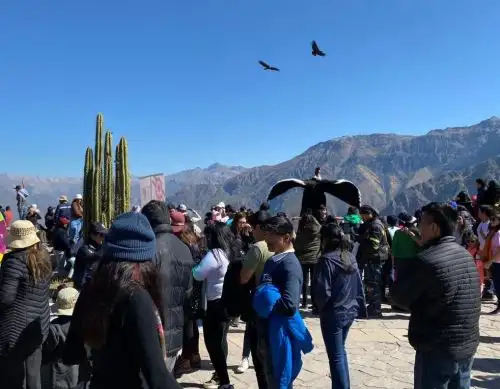 El valle del Colca es uno de los destinos turísticos más visitados de la región Arequipa. ANDINA/Difusión