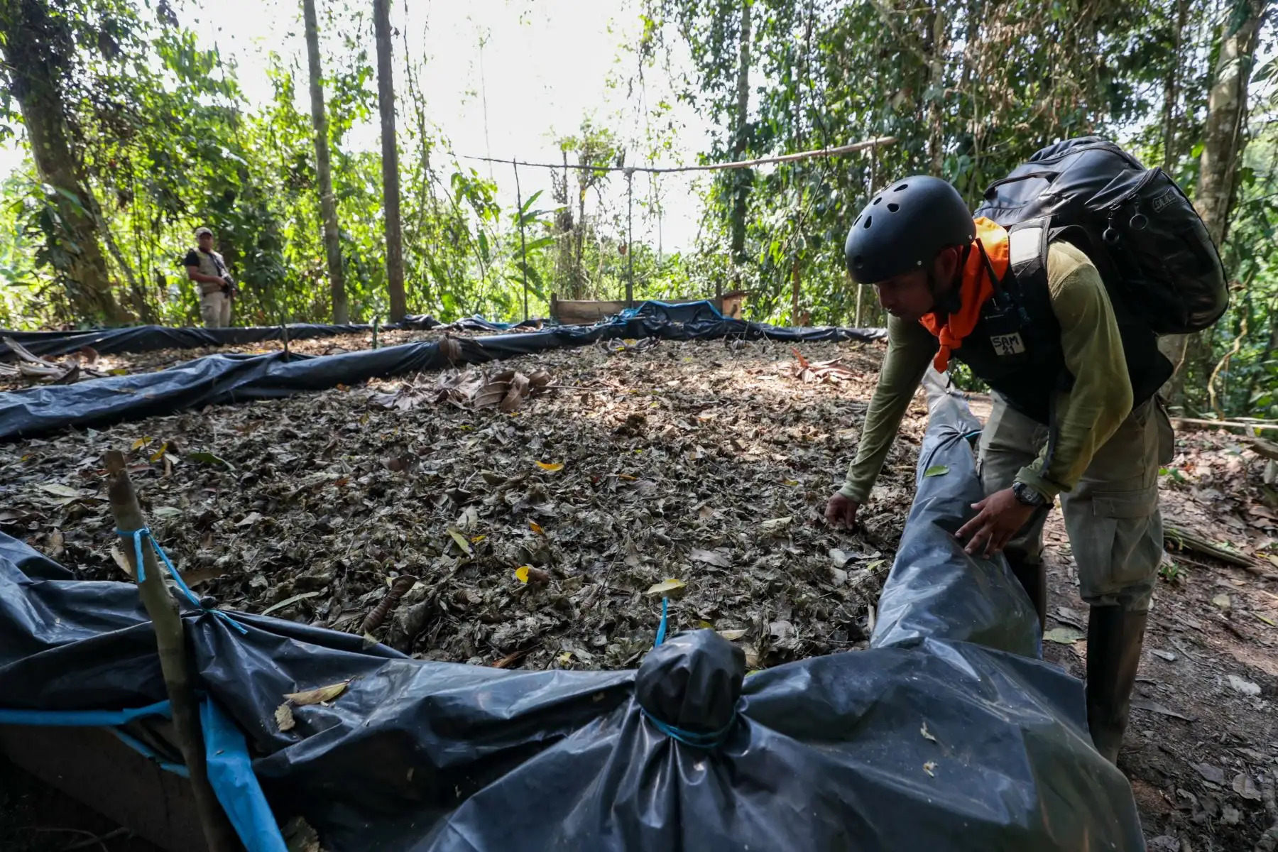 Inspección a zona de erradicación de hoja de coca en la ceja de selva del país. Foto: ANDINA/ PCM