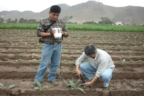 Foto: Produce