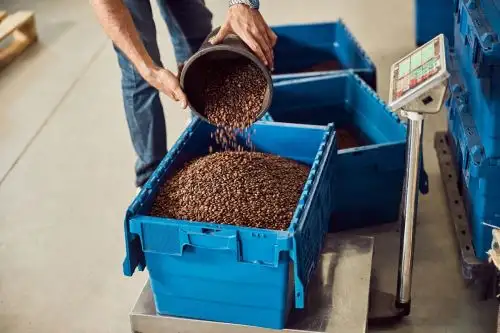 Granos de café de Piura. Foto: Cortesía.