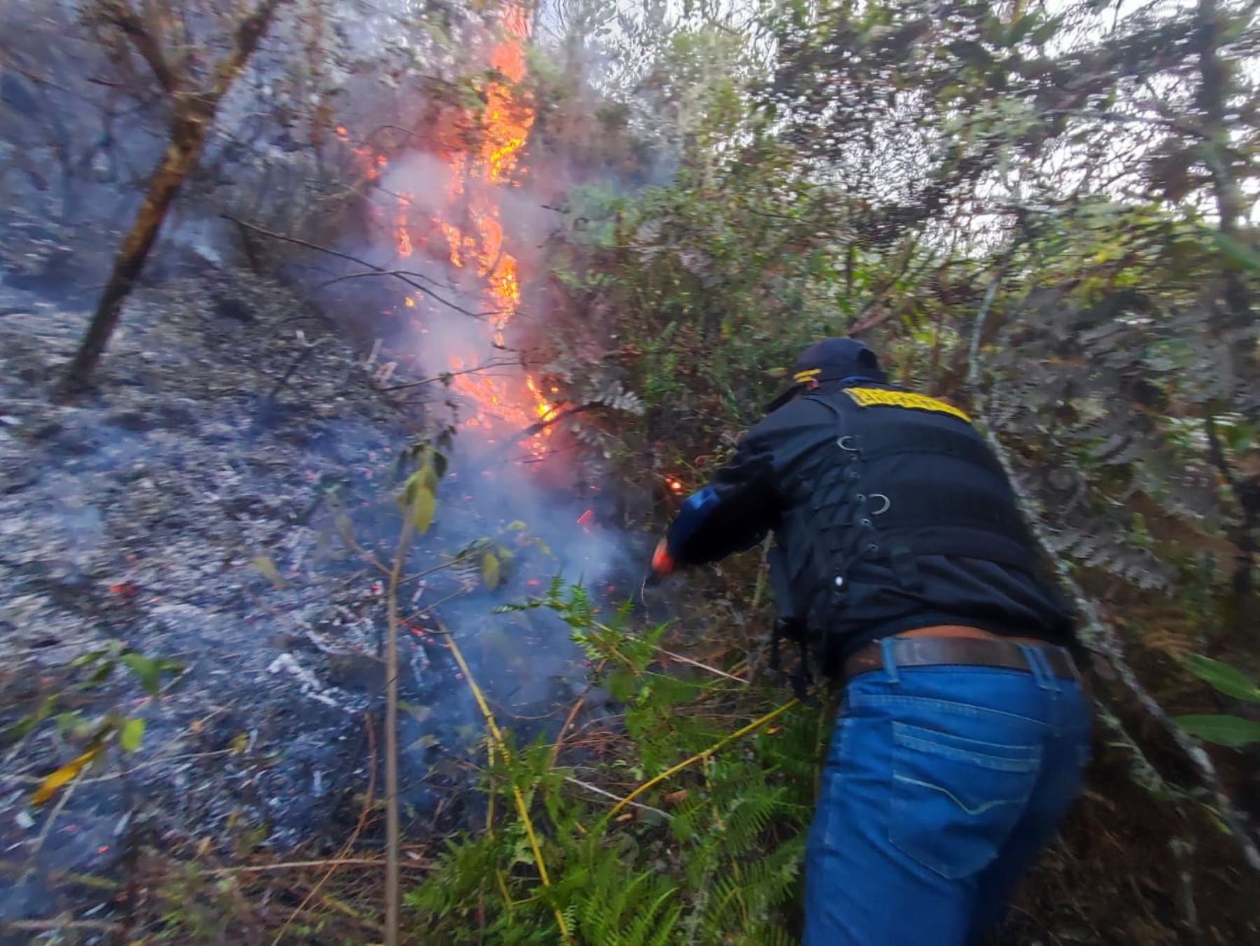Un incendio forestal se registra en el distrito de Anco, provincia de La Mar, región Ayacucho. El fuego arraso con varias hectáreas de vegetación. ANDINA/Difusión
