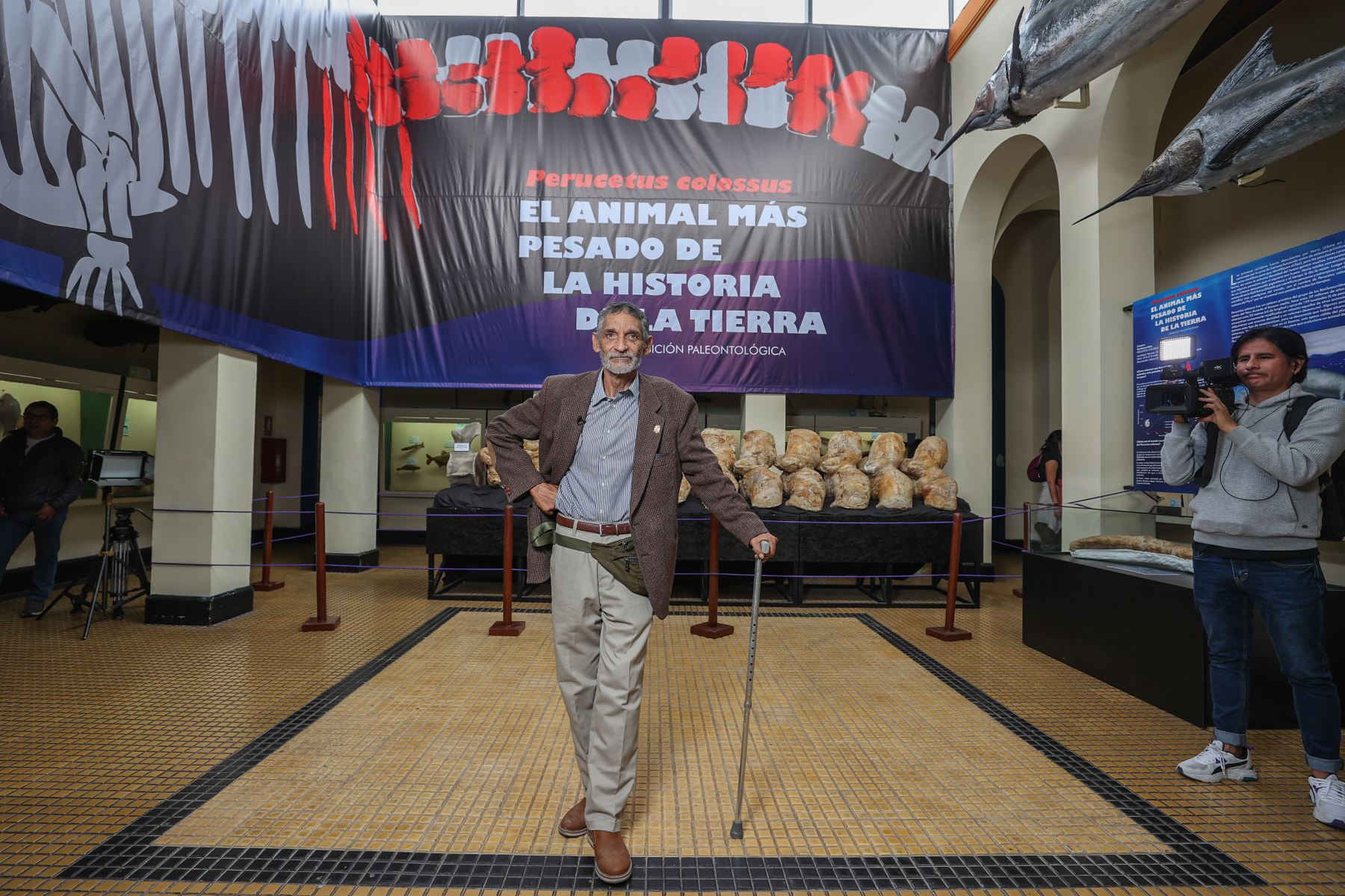 Urbina invitó a las familias que vengan con sus hijos a ver los restos del Perucetus colossus en el Museo de Historia Natural de la Universidad San Marcos. Foto: ANDINA/Andrés Valle