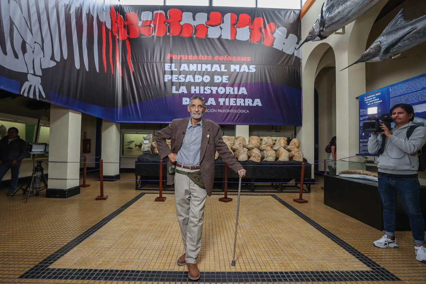 El investigador y colector del Museo de Historia Natural Mario Urbina posa delante de su más reciente e imponente hallazgo, que ha remecido a la comunidad científica internacional: el "Perucetus colossus". Foto: ANDINA/Andrés Valle