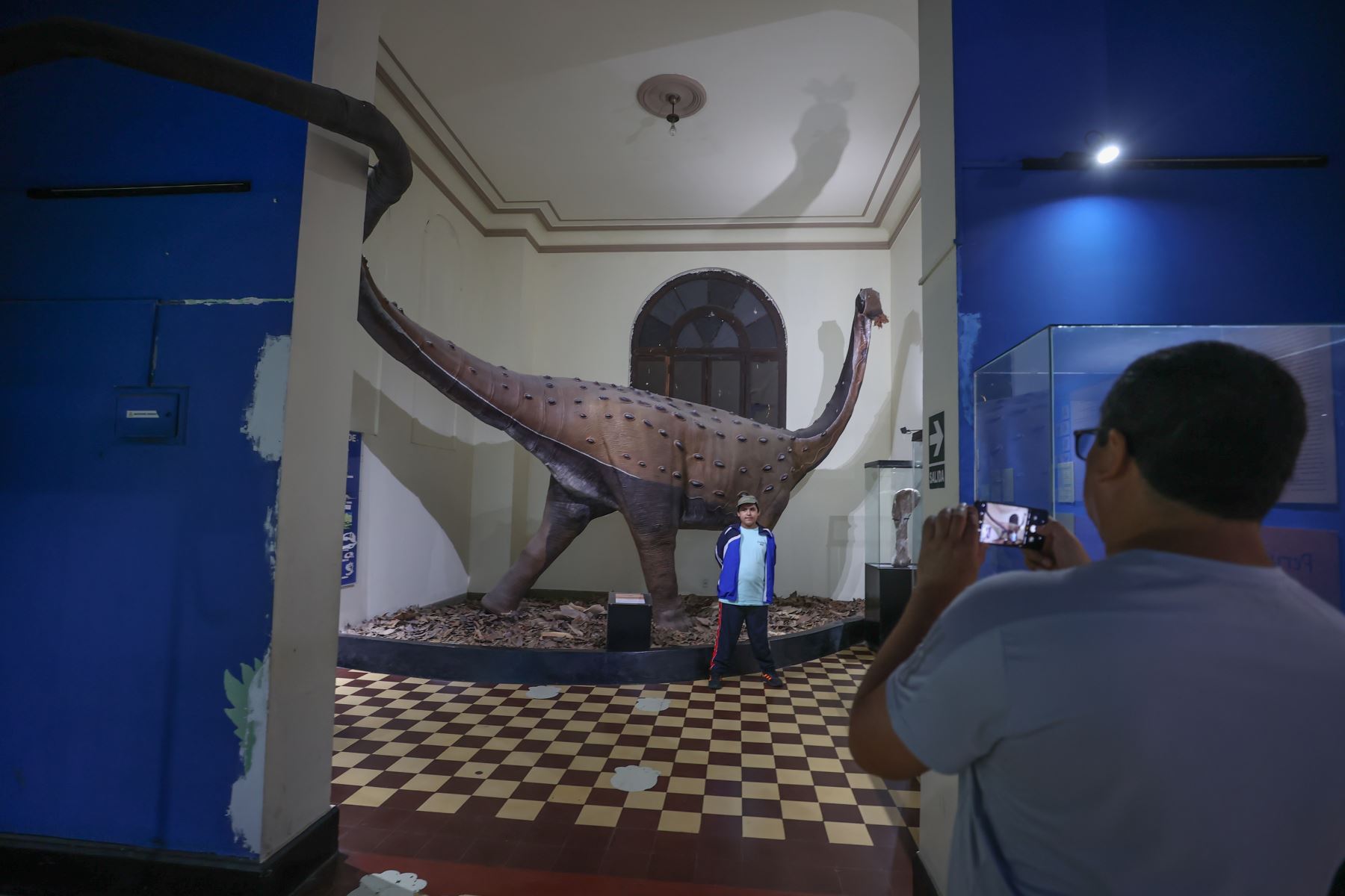 El Museo de Historia Natural, cuenta con varias salas de exhibiciones, ofreciendo al público un panorama general de la diversidad de formas de vida y gea del Perú, tanto actuales como pasadas. Foto:ANDINA/Andrés Valle