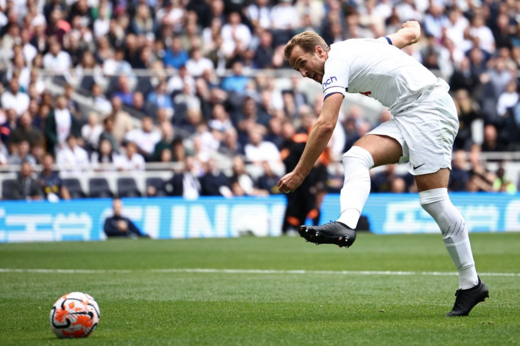 Inglés Harry Kane voceado para irse al Bayern Múnich anotó cuatro goles Noticias Agencia