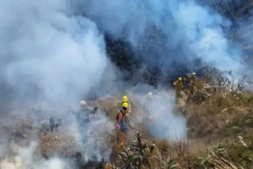 El fuego afectó alrededor de 85 hectáreas de pajonal en el parque nacional del Manu, informó el Sernanp.