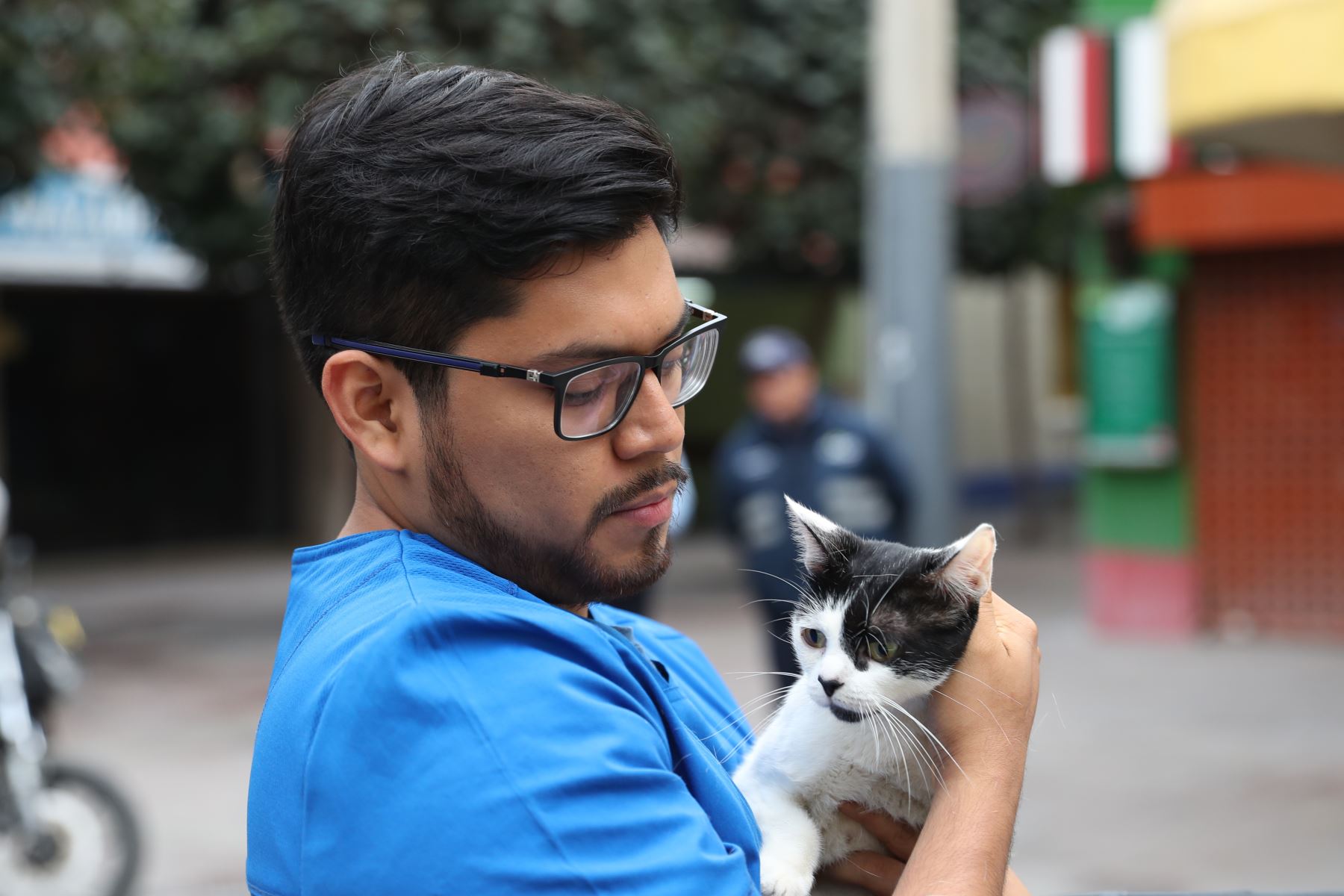 Más de 50 gatos serán puestos en adopción en la Gatotón 2025. Foto: ANDINA/Daniel Bracamonte