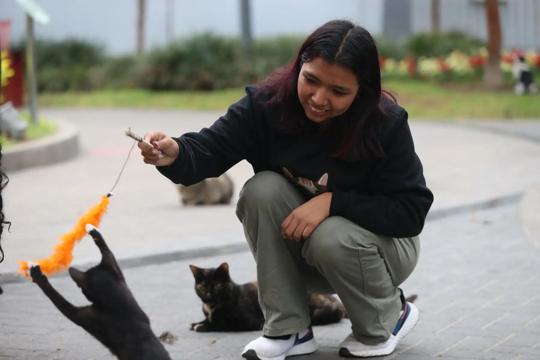 Michis Kennedy es una asociación de jóvenes amantes de los gatos que brindan alimentación y cuidados a los felinos del parque Kennedy de Miraflores de manera desinteresada, y en esta oportunidad también están apoyando la promoción del Gato Fest Kennedy a realizarse del 11 al 13 de agosto. Foto: ANDINA/Daniel Bracamonte