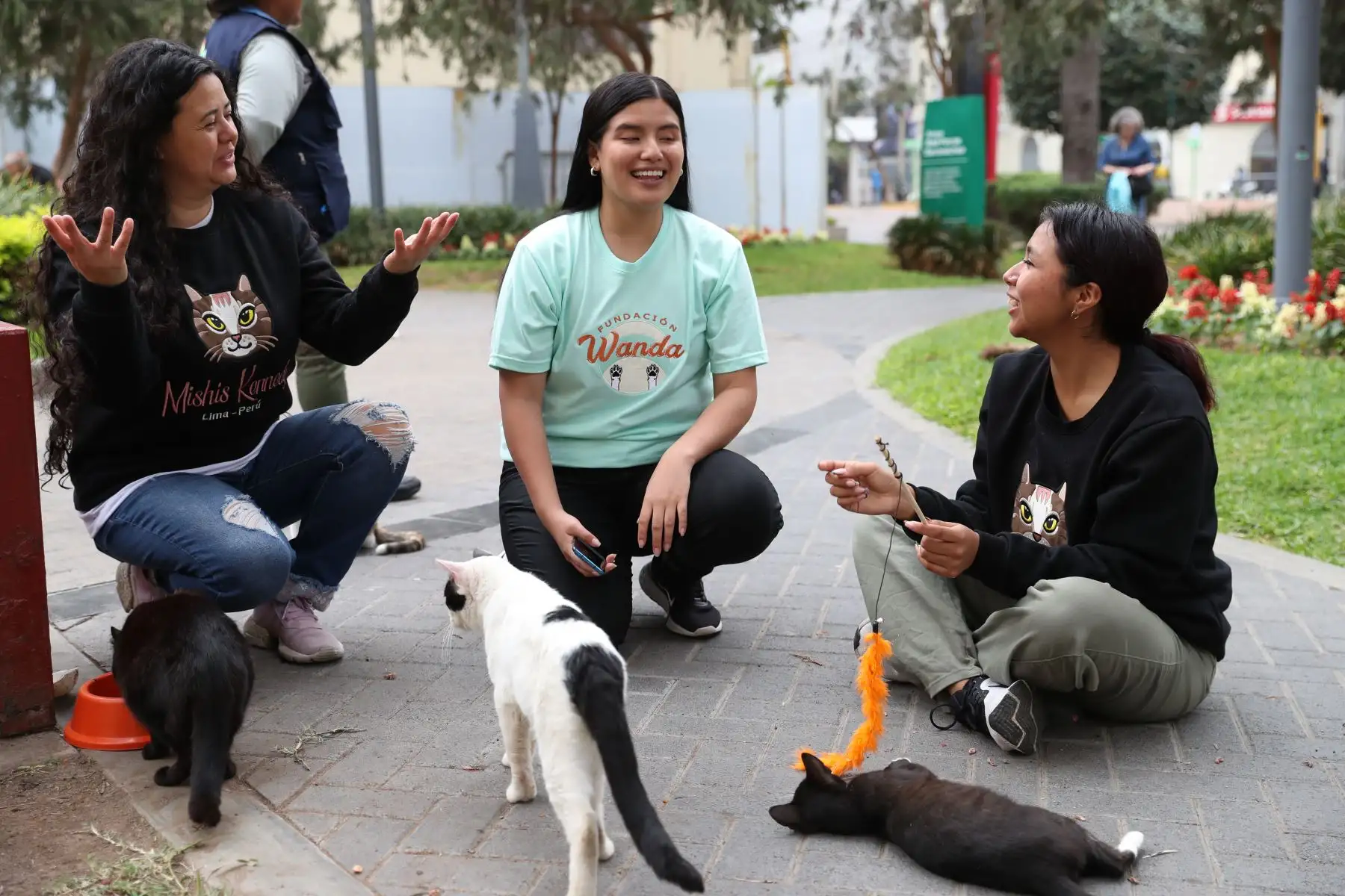 Michis Kennedy es una asociación de jóvenes amantes de los gatos que brindan alimentación y cuidados a los felinos del parque Kennedy de Miraflores de manera desinteresada, y en esta oportunidad también están apoyando la promoción del Gato Fest Kennedy a realizarse del 11 al 13 de agosto. Foto: ANDINA/Daniel Bracamonte