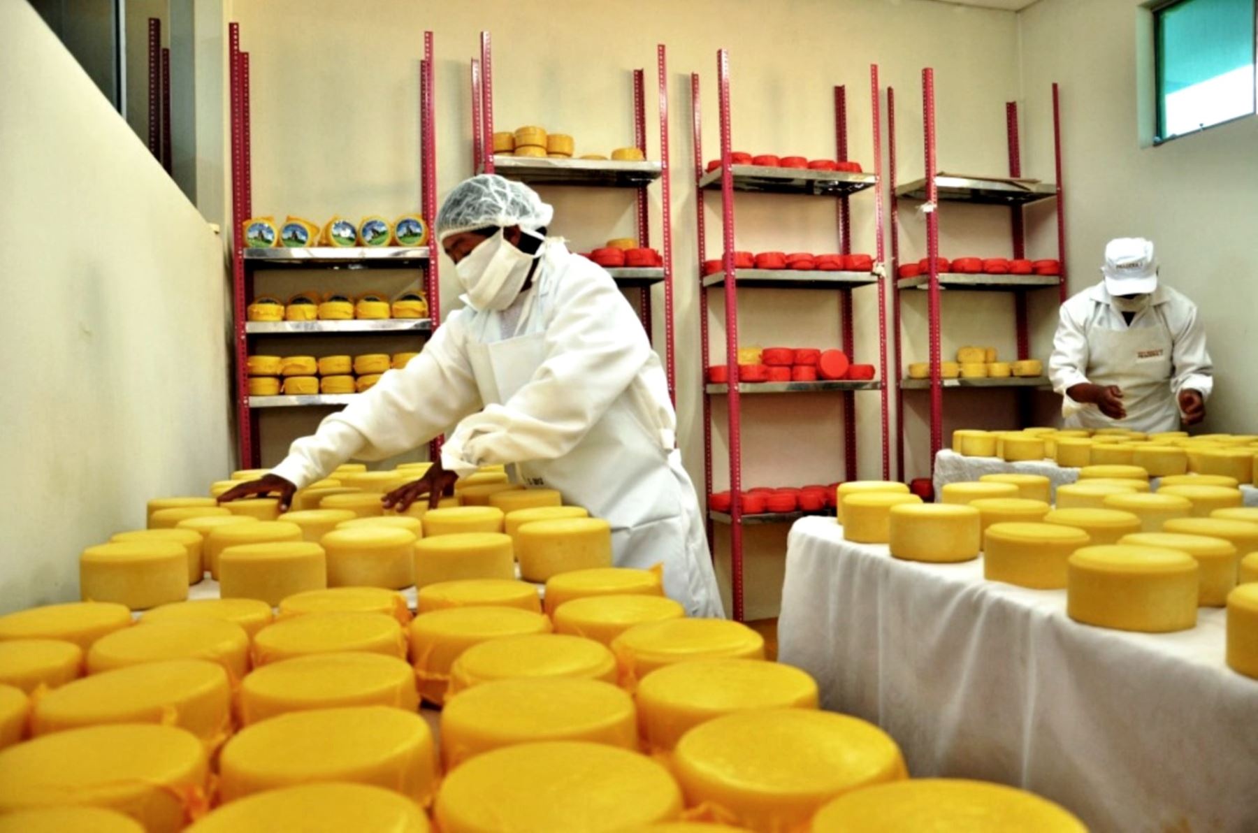 Productores de Cajamarca presentarán sus mejores variedades de queso en el Salón del Queso que se realizará este fin de semana en Lima. ANDINA/Difusión