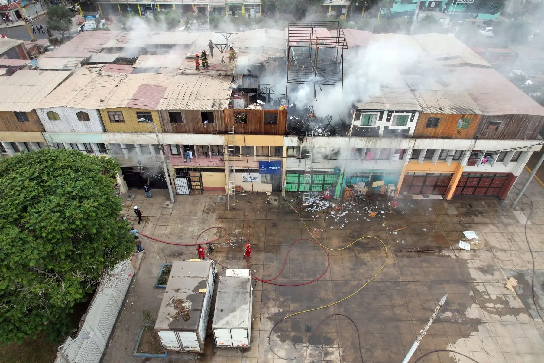 Los bomberos y serenos de la Municipalidad de Bellavista lograron rescatar a 15 gatos que estaban atrapados al interior del segundo piso de una vivienda que se incendió esta mañana en la Ciudad del Pescador, en el citado distrito chalaco.
Foto: ANDINA/Juan Carlos Guzmán