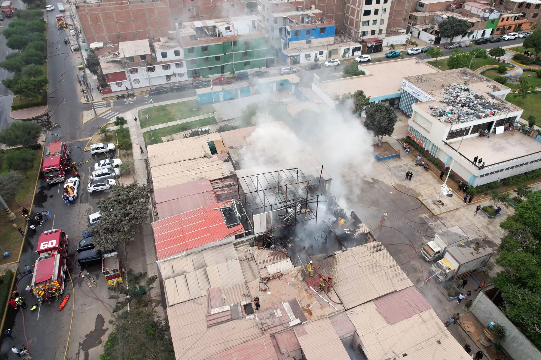 Los bomberos y serenos de la Municipalidad de Bellavista lograron rescatar a 15 gatos que estaban atrapados al interior del segundo piso de una vivienda que se incendió esta mañana en la Ciudad del Pescador, en el citado distrito chalaco.
Foto: ANDINA/Juan Carlos Guzmán