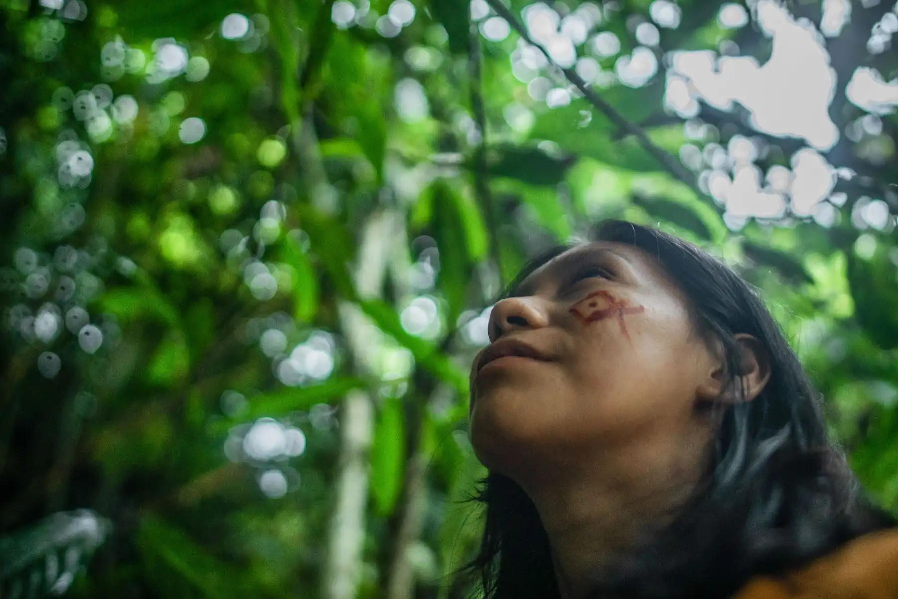 El Perú es un país culturalmente diverso, donde viven cerca de 6 millones de peruanas y peruanos que se autoidentifican como parte de pueblos indígenas u originarios y es el tercer país latinoamericano con mayor población indígena después de Guatemala y Bolivia. Según el Censo Nacional 2017 en el país existen 55 pueblos indígenas u originarios, de los cuales 51 son amazónicos y 4 andinos. La diversidad de nuestros pueblos también se expresa en las 48 lenguas indígenas u originarias habladas por el 16 % de la población total.
Foto: ANDINA/MINCUL