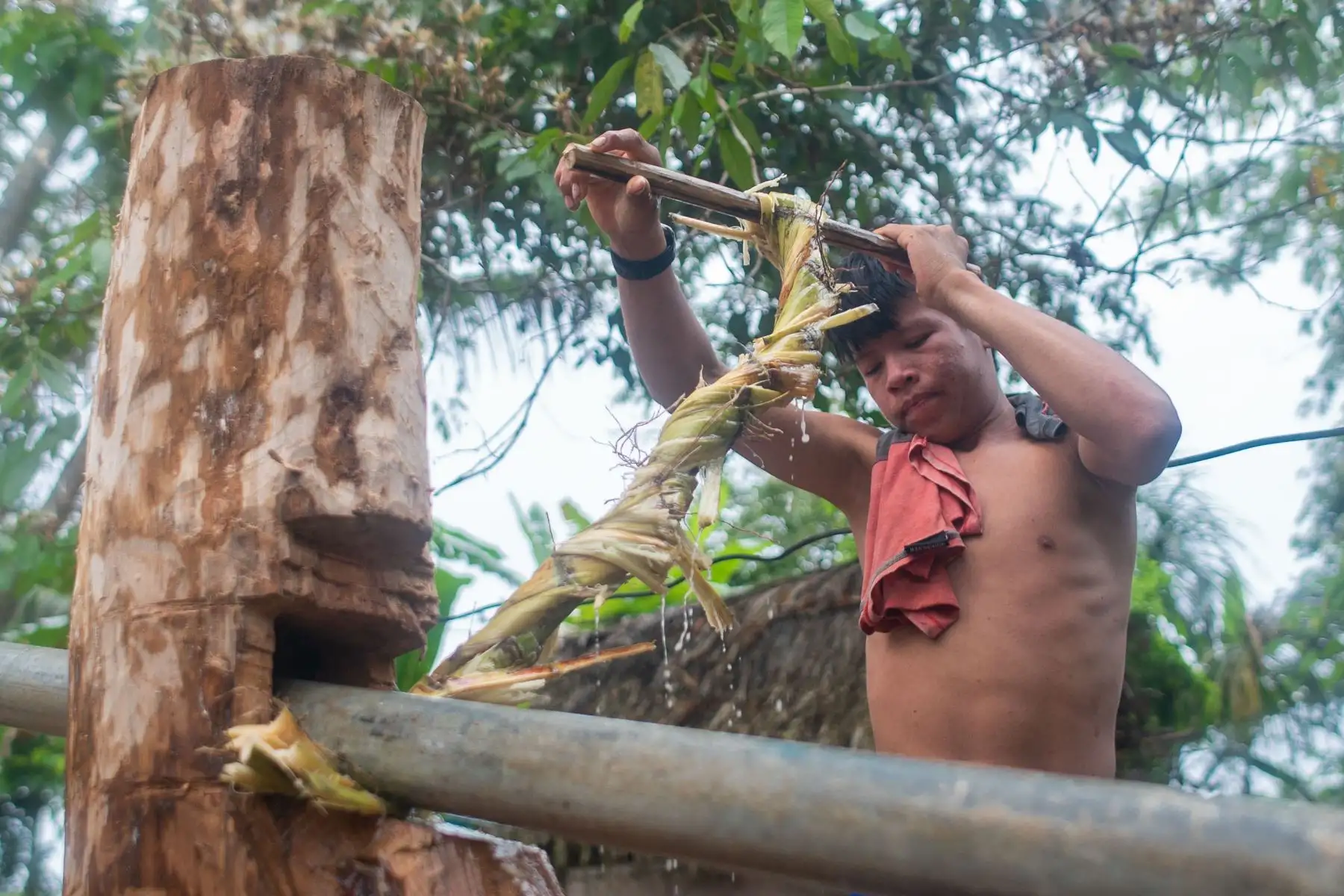 El Perú es un país culturalmente diverso, donde viven cerca de 6 millones de peruanas y peruanos que se autoidentifican como parte de pueblos indígenas u originarios y es el tercer país latinoamericano con mayor población indígena después de Guatemala y Bolivia. Según el Censo Nacional 2017 en el país existen 55 pueblos indígenas u originarios, de los cuales 51 son amazónicos y 4 andinos. La diversidad de nuestros pueblos también se expresa en las 48 lenguas indígenas u originarias habladas por el 16 % de la población total.
Foto: ANDINA/MINCUL