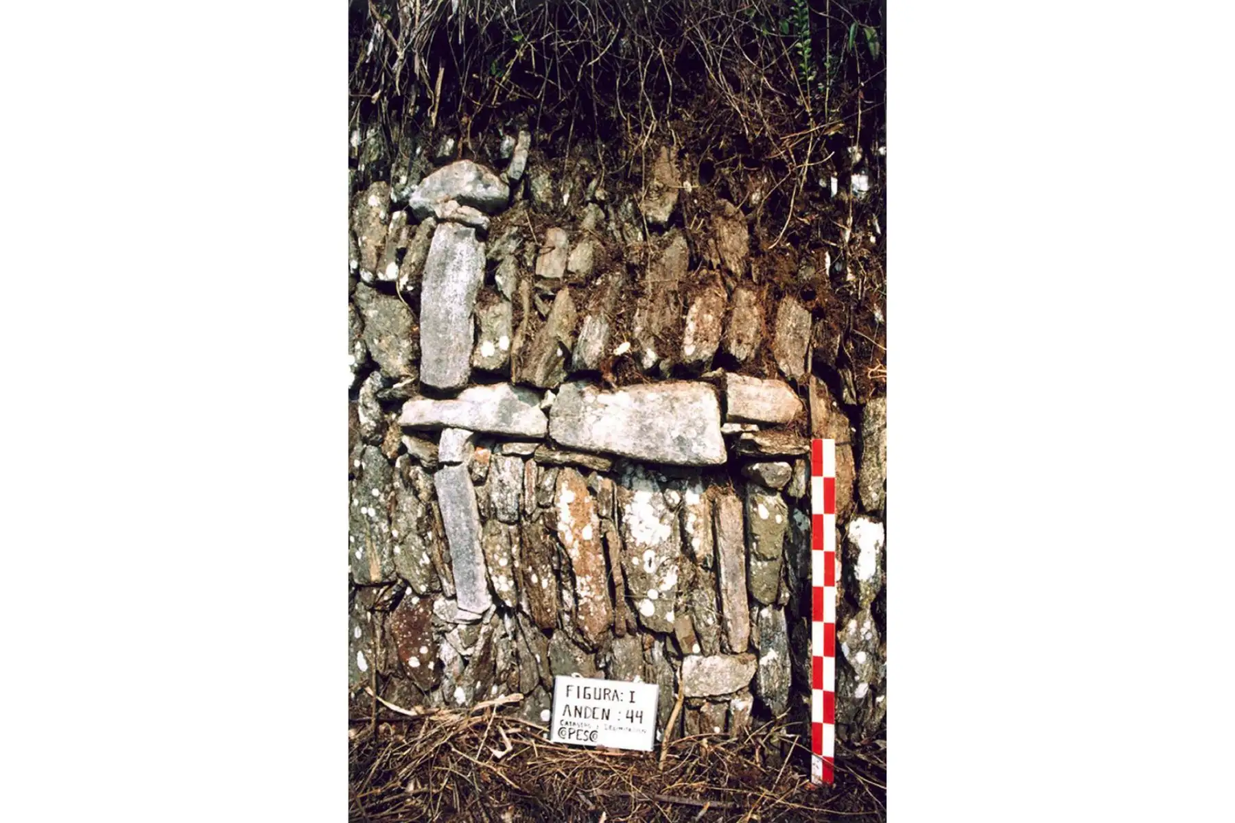 Choquequirao fue elegido recientemente por la prestigiosa publicación internacional National Geographic como uno de los cinco destinos de aventura imperdibles para el turismo mundial en el 2023. Foto: AFP