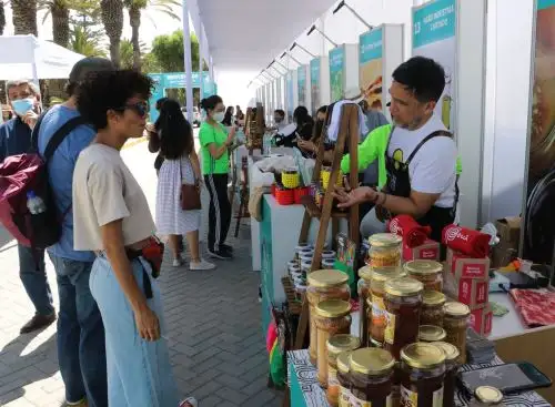 La feria "Lo bueno de viajar" estará presente en Arequipa para presentar la variada oferta turística de 16 regiones del país, informó Promperú. ANDINA/Difusión