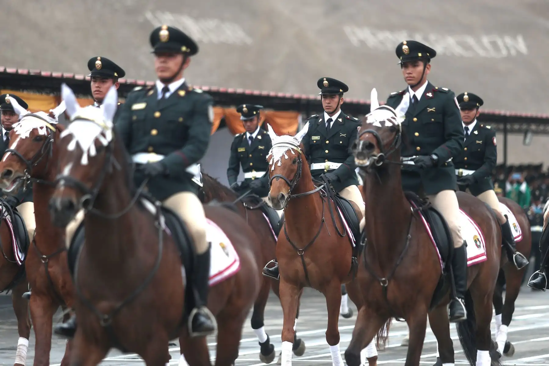 Ceremonia por el  XXVIII Aniversario de la Escuela de Educación Técnico Policial Héroe Nacional Capitán PNP "Alipio Ponce Vásquez";
Institución educativa líder a nivel nacional, dedicada a la formación y desarrollo de profesionales altamente capacitados para enfrentar los desafíos de la seguridad ciudadana y el servicio policial.
Foto: ANDINA/Ricardo Cuba