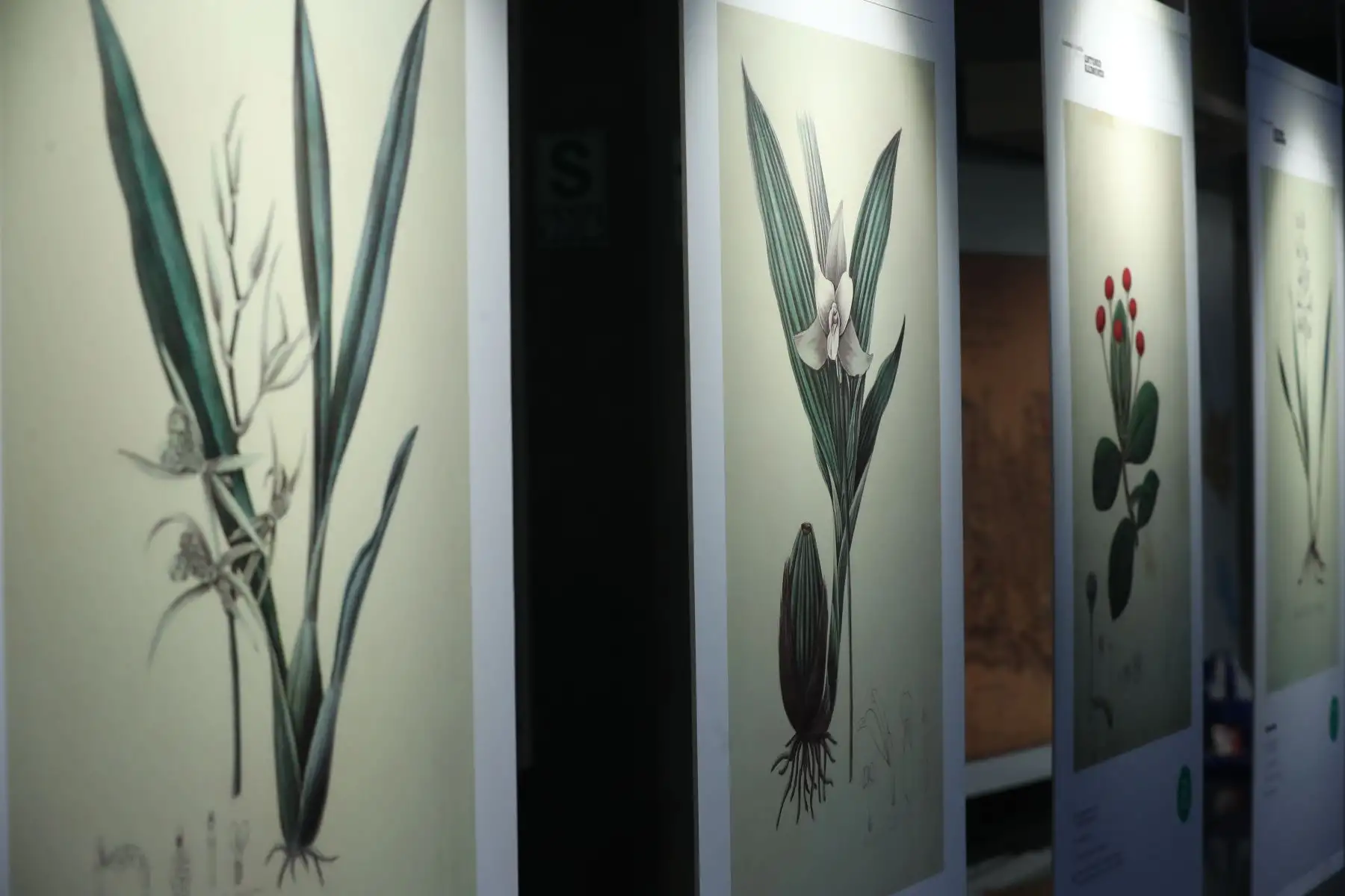 La exposición “Antonio Raimondi: itinerarios, epistolario e imagen del Perú”, en la Biblioteca Nacional del Perú, muestra al público diversos objetos personales y de trabajo usados por el sabio italiano, así como sus apuntes originales, dibujos sobre la naturaleza y mapas, entre otros. Foto: ANDINA/Daniel Bracamonte