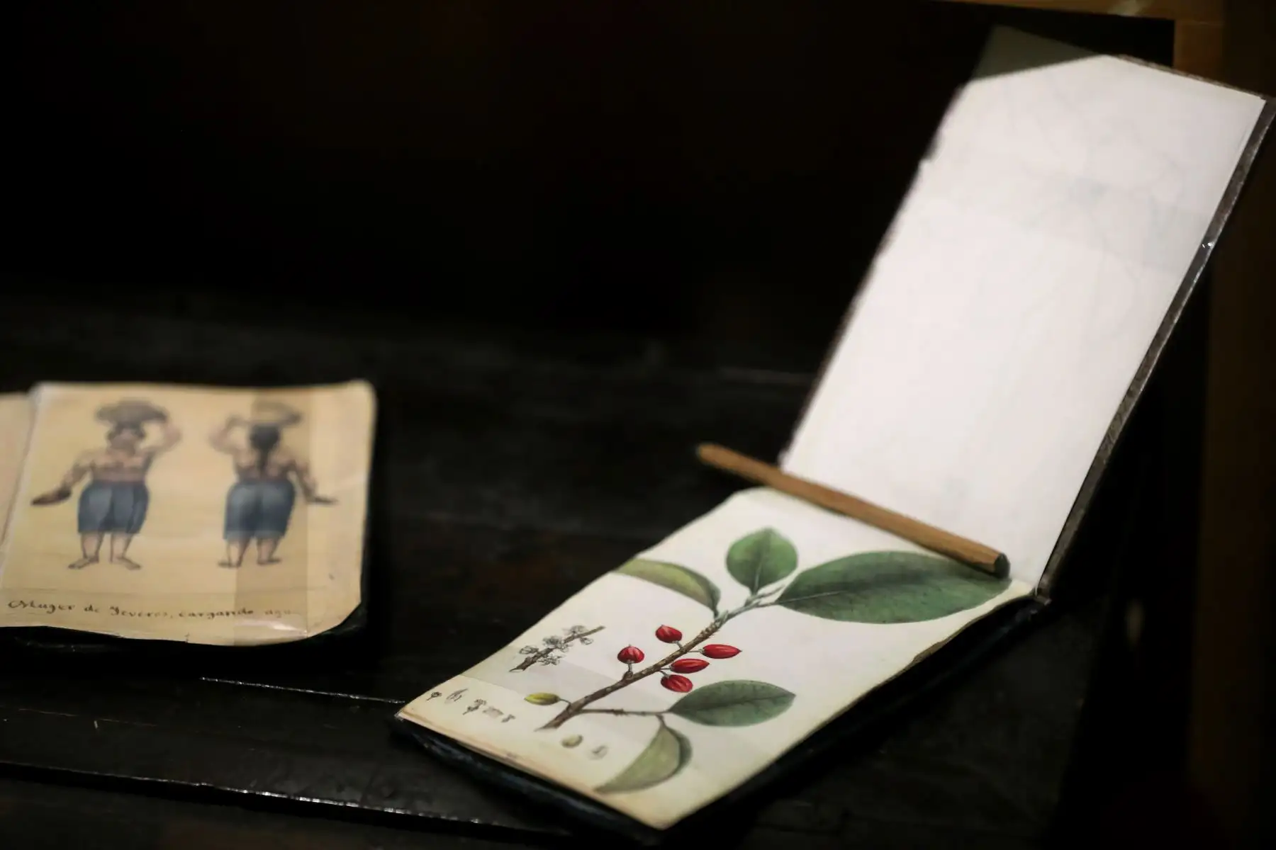 La exposición “Antonio Raimondi: itinerarios, epistolario e imagen del Perú”, en la Biblioteca Nacional del Perú, muestra al público diversos objetos personales y de trabajo usados por el sabio italiano, así como sus apuntes originales, dibujos sobre la naturaleza y mapas, entre otros. Foto: ANDINA/Daniel Bracamonte