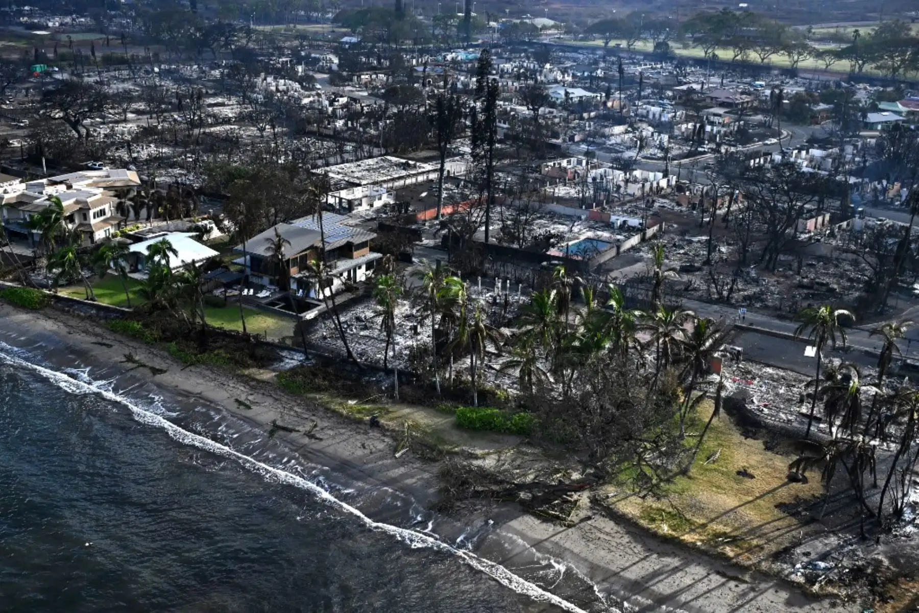 Incendios forestales avivados por vientos huracanados arrasan varias localidades en Hawái, dejando a miles de personas evacuadas, mientras continúan las operaciones de rescate. Foto: AFP