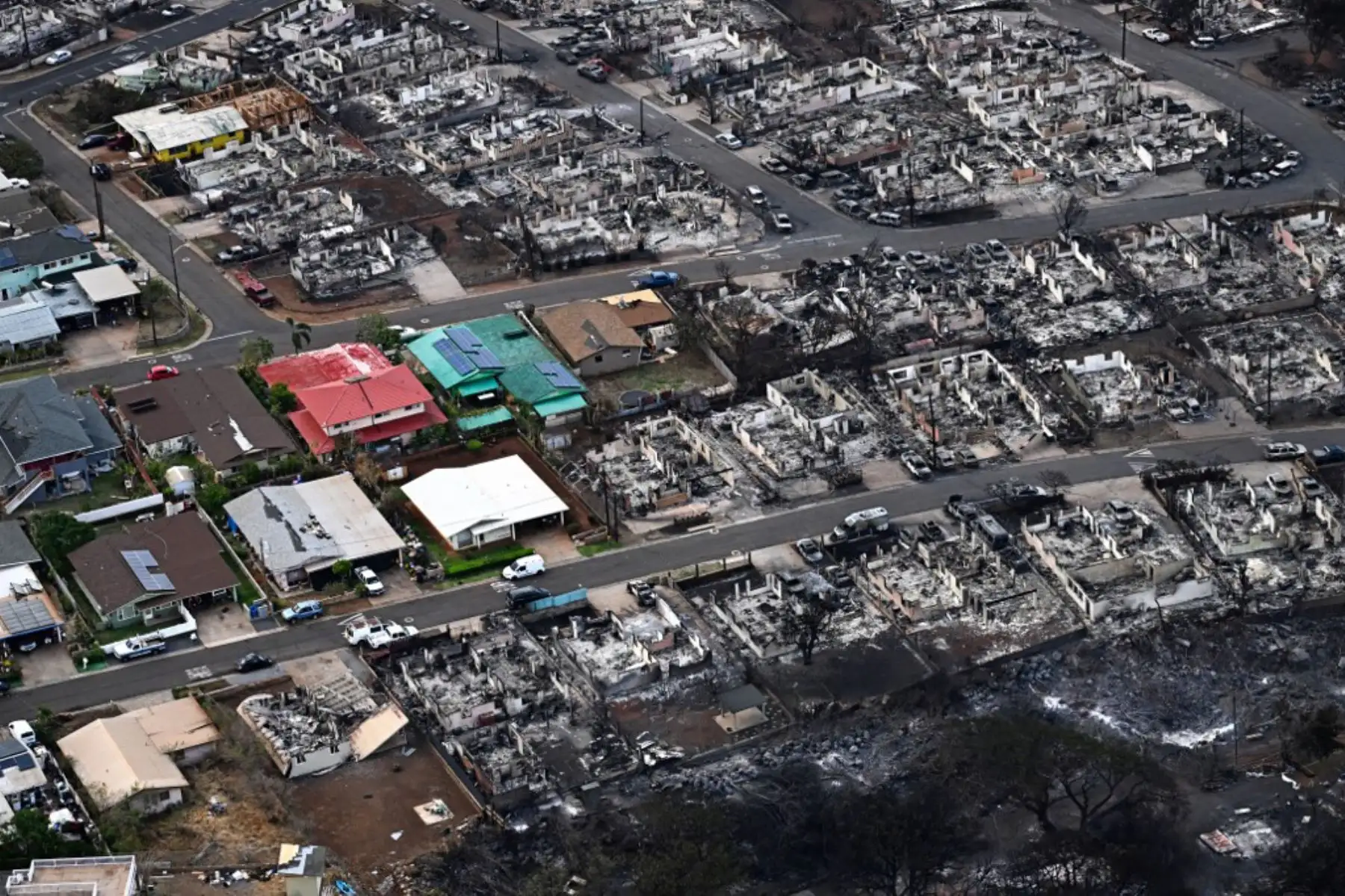 Incendios forestales avivados por vientos huracanados arrasan varias localidades en Hawái, dejando a miles de personas evacuadas, mientras continúan las operaciones de rescate. Foto: AFP
