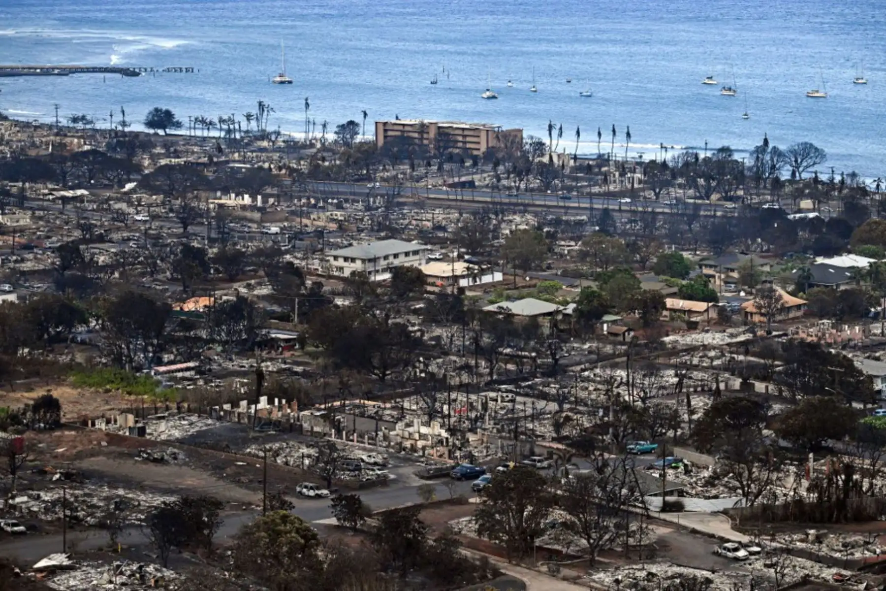 Las autoridades decretaron estado de emergencia, dijo la vicegobernadora de Hawái, Sylvia Luke, con los hospitales de Maui "saturados con pacientes por quemaduras y personas afectadas por inhalar humo".  Foto: AFP