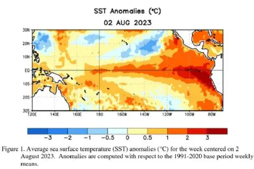 A 95 % aumentó la probabilidad de que el fenómeno El Niño global continúe hasta febrero de 2024, informó el Centro de Predicción Climática del Servicio Meteorológico Nacional de los Estados Unidos