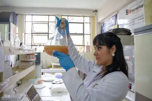 Para la actual convocatoria, el Gobierno colombiano otorgará 100 becas, que serán distribuidas a nivel mundial. Foto: ANDINA/Pronabec