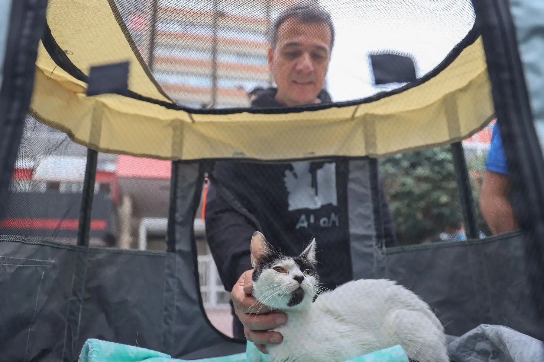 En este Gato Fest Kennedy, el municipio busca promover una cultura de adopción responsable de los gatos del emblemático parque, así como frenar su abandono y el maltrato animal. Aquellos que acudan a esta fería podrán interactuar con diferentes felinos gracias al apoyo de las asociaciones de voluntarios “Michis Kennedy” y “Ala Michi” así como participar de diferentes actividades durante los tres días de duración de este evento.
Foto: ANDINA/Andrés Valle