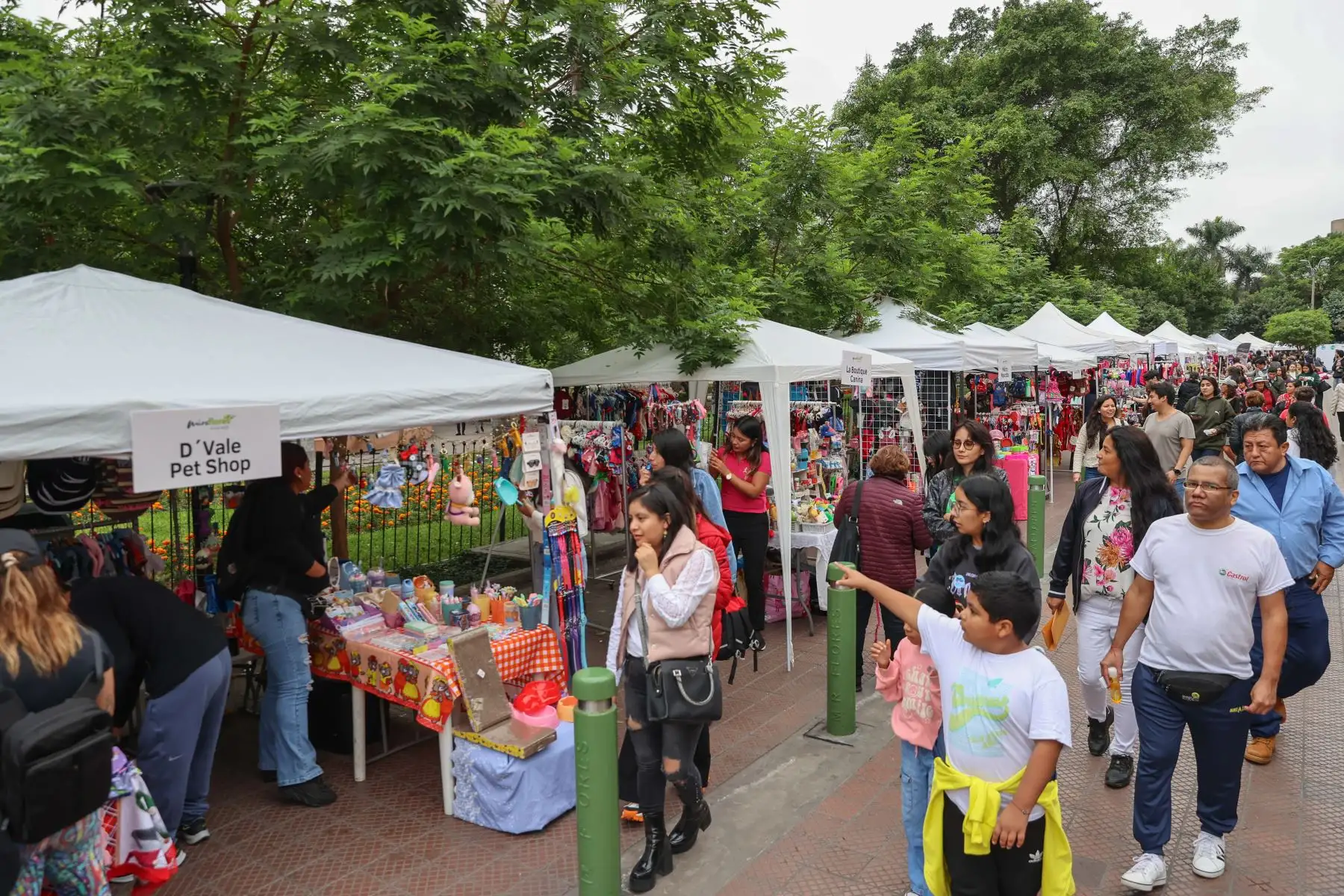 En el marco del Día Mundial del Gato, el día de hoy la Municipalidad de Miraflores realiza la primera edición de la feria Gato Fest Kennedy que ofrecé grandes sorpresas para los catlovers e impulsa jornadas de adopción para que los pequeños mininos encuentren un nuevo hogar que les brinde mucho amor y una mejor calidad de vida.
Foto: ANDINA/Andrés Valle