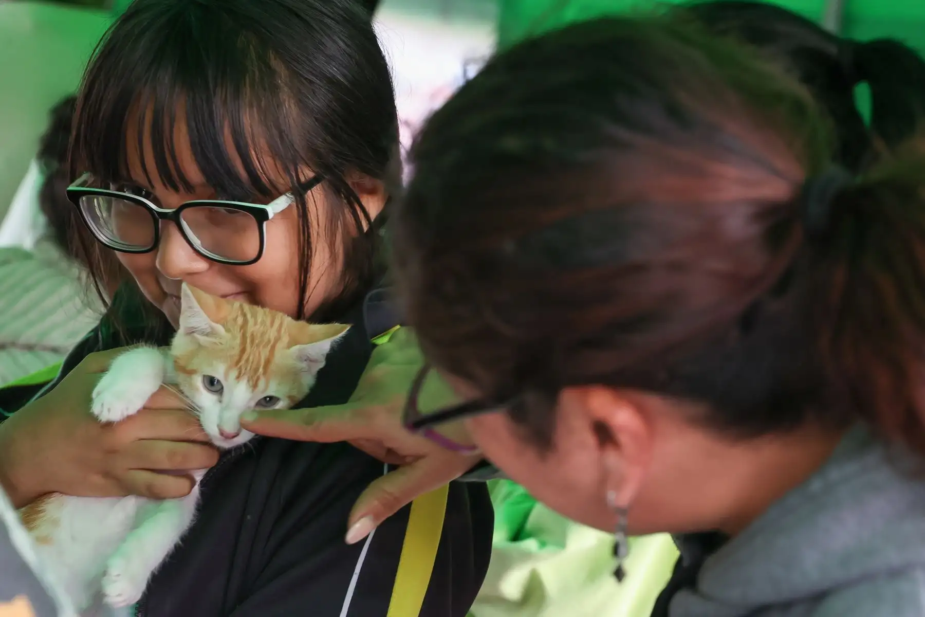 En este Gato Fest Kennedy, el municipio busca promover una cultura de adopción responsable de los gatos del emblemático parque, así como frenar su abandono y el maltrato animal. Aquellos que acudan a esta fería podrán interactuar con diferentes felinos gracias al apoyo de las asociaciones de voluntarios “Michis Kennedy” y “Ala Michi” así como participar de diferentes actividades durante los tres días de duración de este evento.
Foto: ANDINA/Andrés Valle