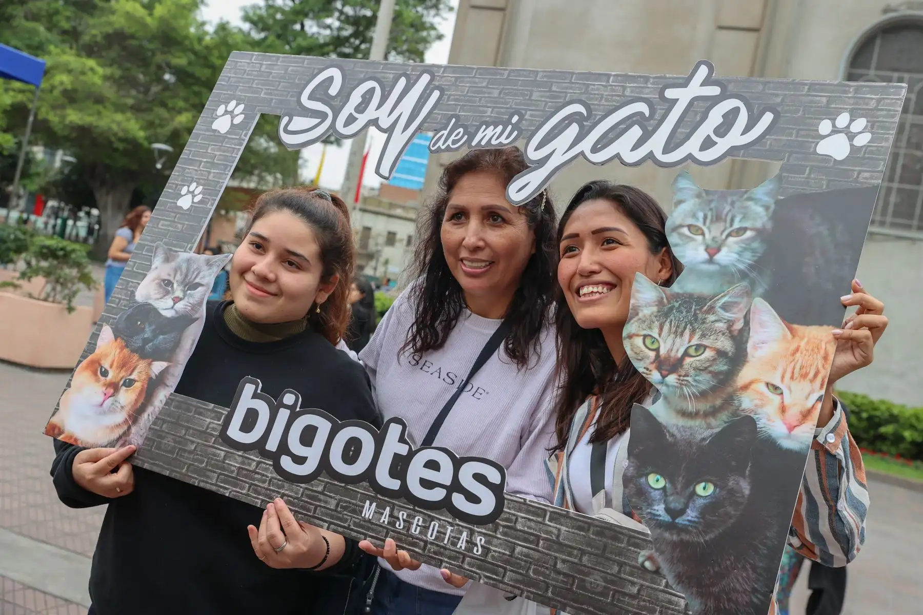 En el marco del Día Mundial del Gato, el día de hoy la Municipalidad de Miraflores realiza la primera edición de la feria Gato Fest Kennedy que ofrecé grandes sorpresas para los catlovers e impulsa jornadas de adopción para que los pequeños mininos encuentren un nuevo hogar que les brinde mucho amor y una mejor calidad de vida.
Foto: ANDINA/Andrés Valle
