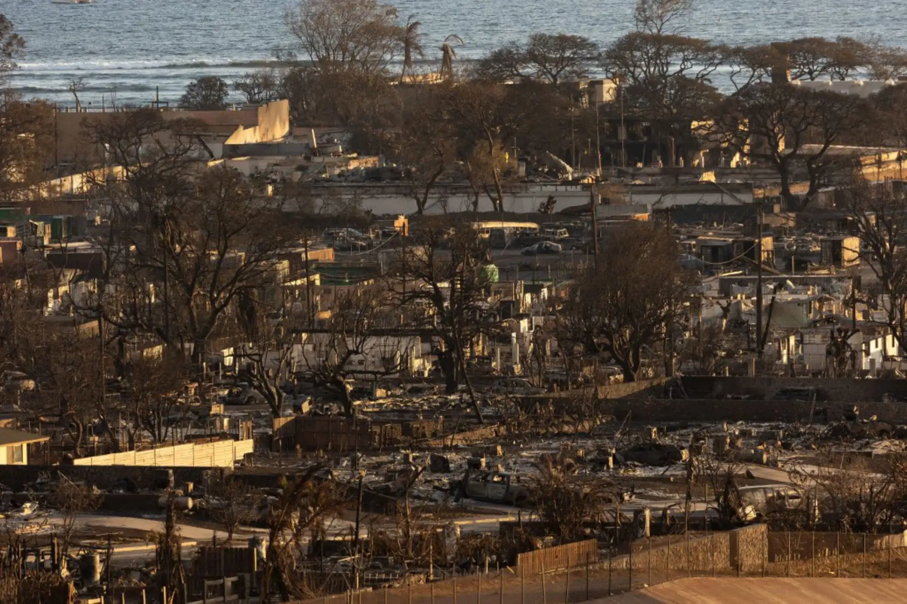 Los barcos que habían estado amarrados en el muelle días antes estaban calcinados, fundidos o hundidos. Foto: AFP