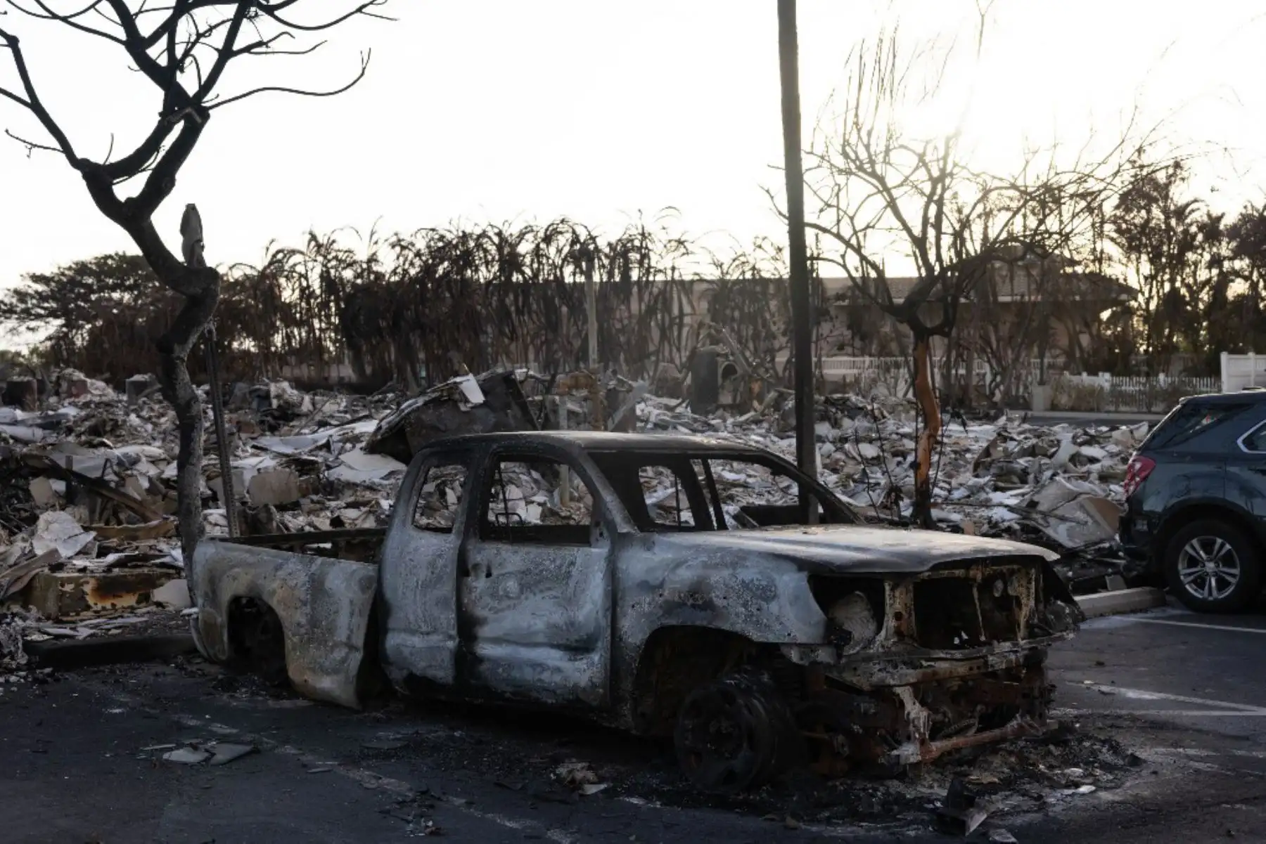Incendios forestales avivados por vientos huracanados arrasaron varias localidades en Hawái. Foto: AFP