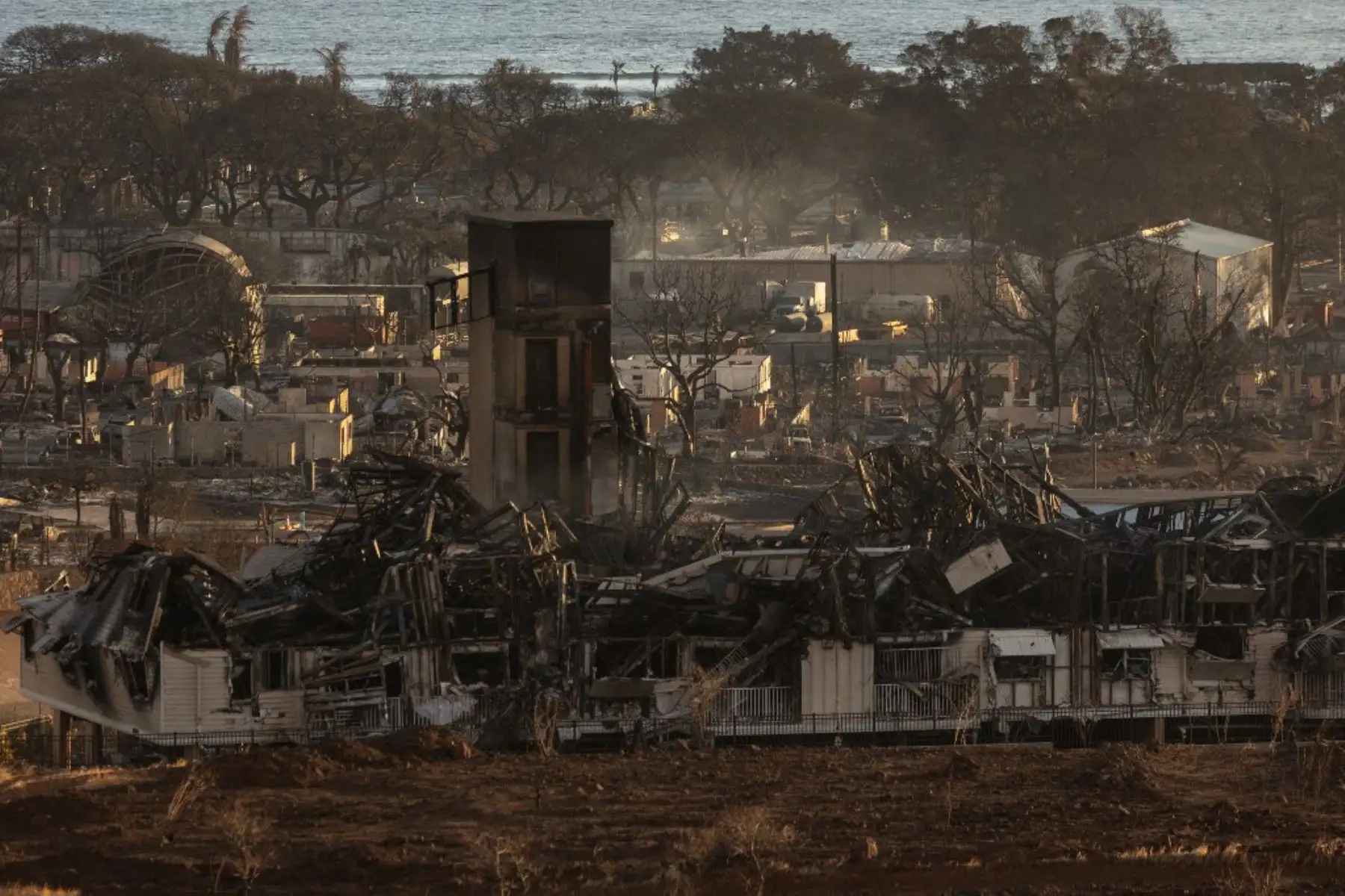 Incendios forestales avivados por vientos huracanados arrasaron varias localidades en Hawái. Foto: AFP
