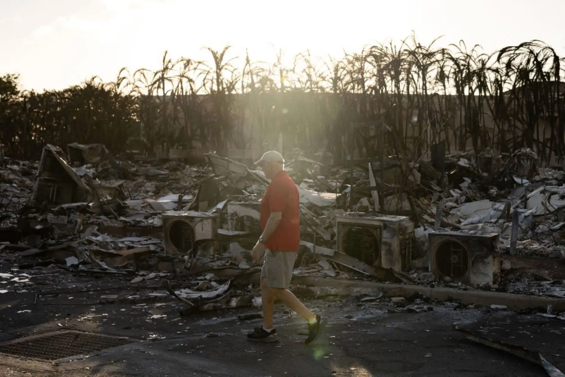 El incendio dejó sin electricidad a los residentes de Lahaina, que han dicho a los medios de comunicación que no tenían señal en sus teléfonos celulares, un canal que usan las autoridades cuando quieren alertar a los ciudadanos del peligro. Foto: AFP