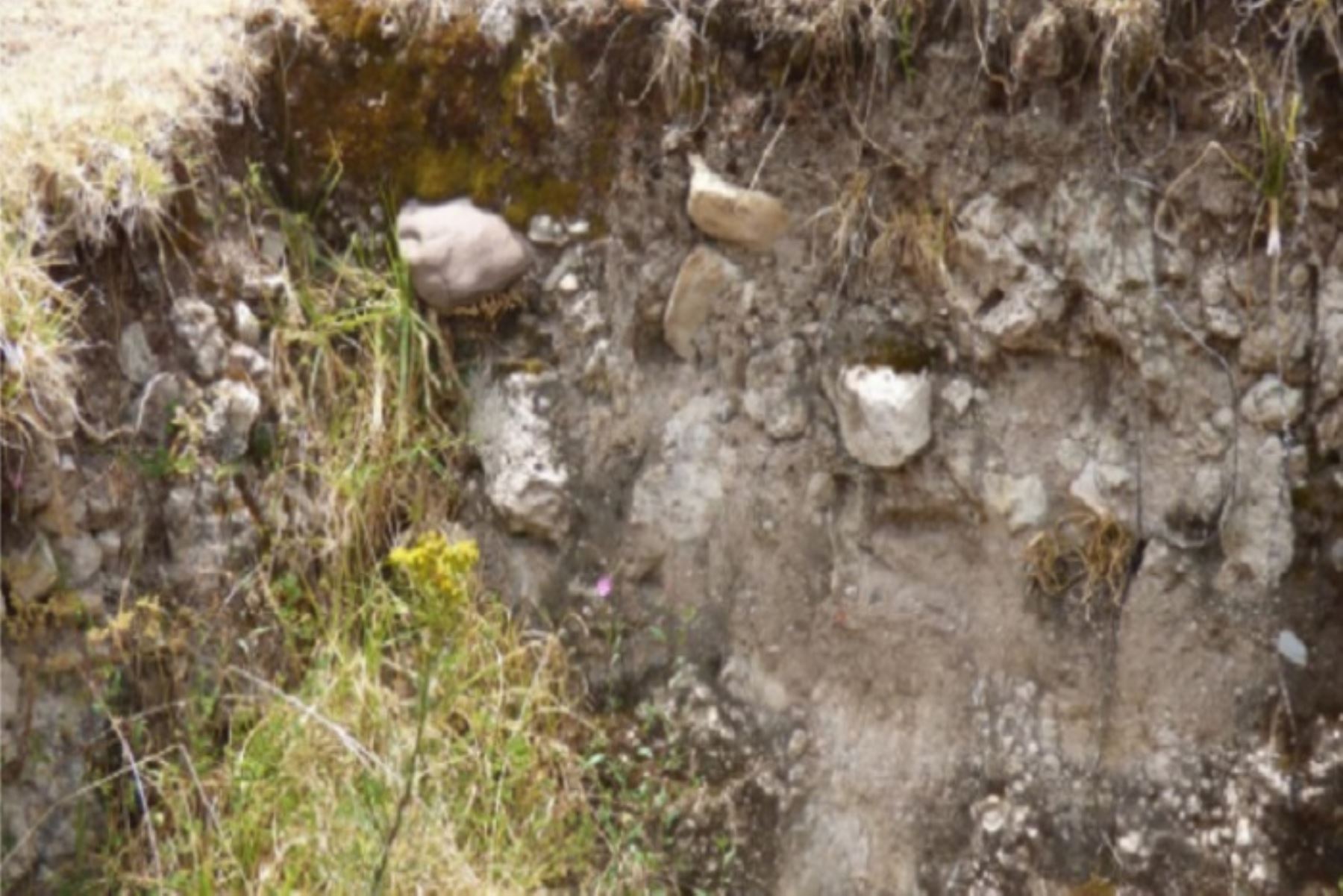 Las condiciones geológicas propias del terreno, así como la presencia de depósitos superficiales inestables podrían contribuir a la disposición de agrietamientos de las paredes y piso de la Facultad de Ciencias Agrarias.