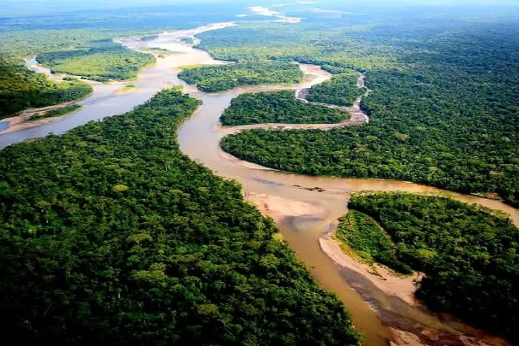 Vista aérea de la Amazonía. ANDINA/Difusión