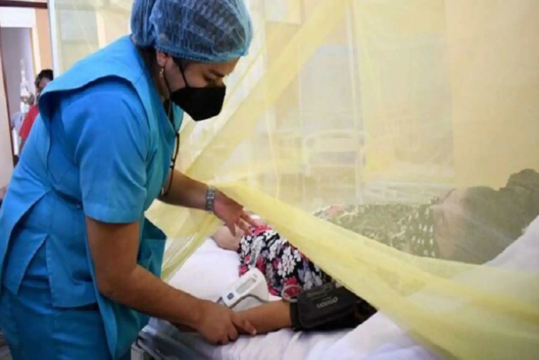 Cinco regiones del país reportan el mayor número de casos de dengue en las primeras semanas de 2024.