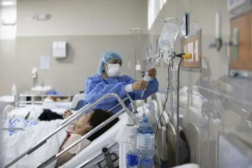 Perú reporta 30,000 casos y más de 2,000 fallecidos en lo que va del 2023. Foto:ANDINA/Difusión