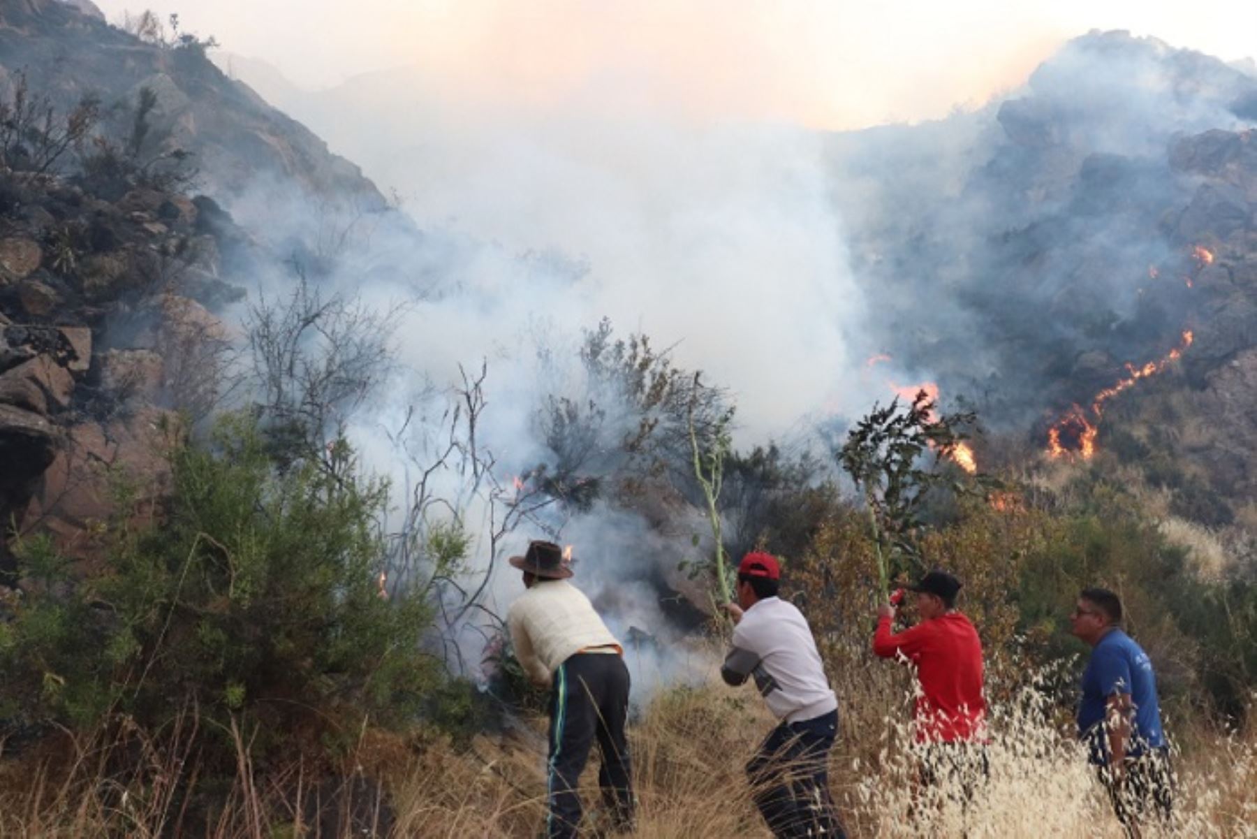 Incendio forestal habría sido provocado por un poblador durante la quema irresponsable de pastizales.