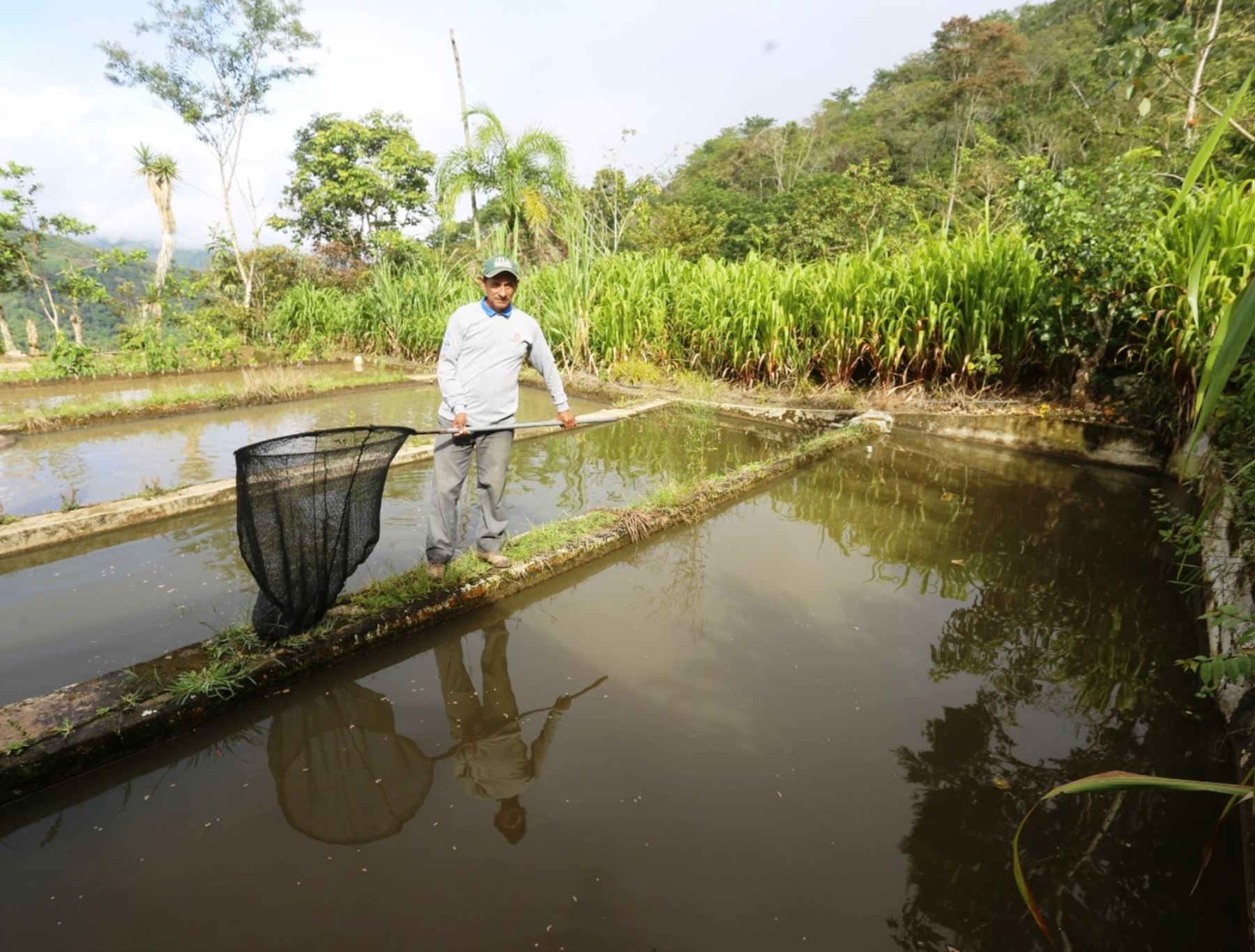 Feria Binacional Acuícola Perú-Ecuador promoverá el trabajo de los productores acuícolas y agrícolas de la provincia de San Ignacio, región Cajamarca. ANDINA/Difusión