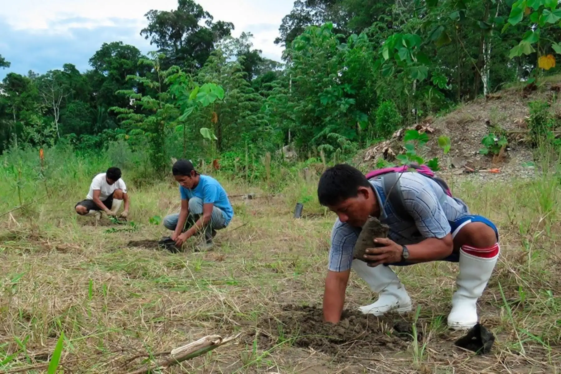 Loreto congregará a expertos en restauración de ecosistemas forestales